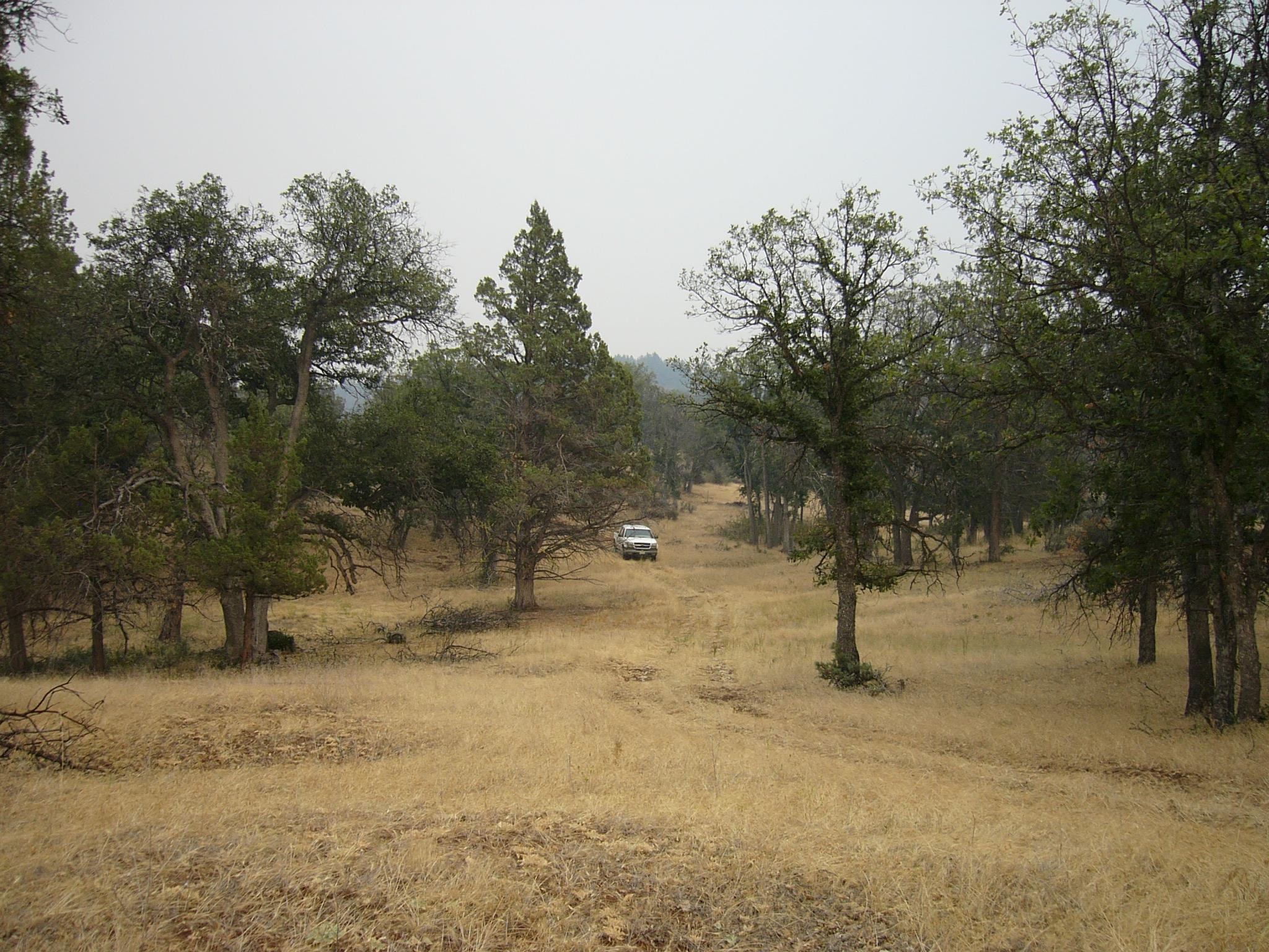 Moonfish Dr. 6.59 acres