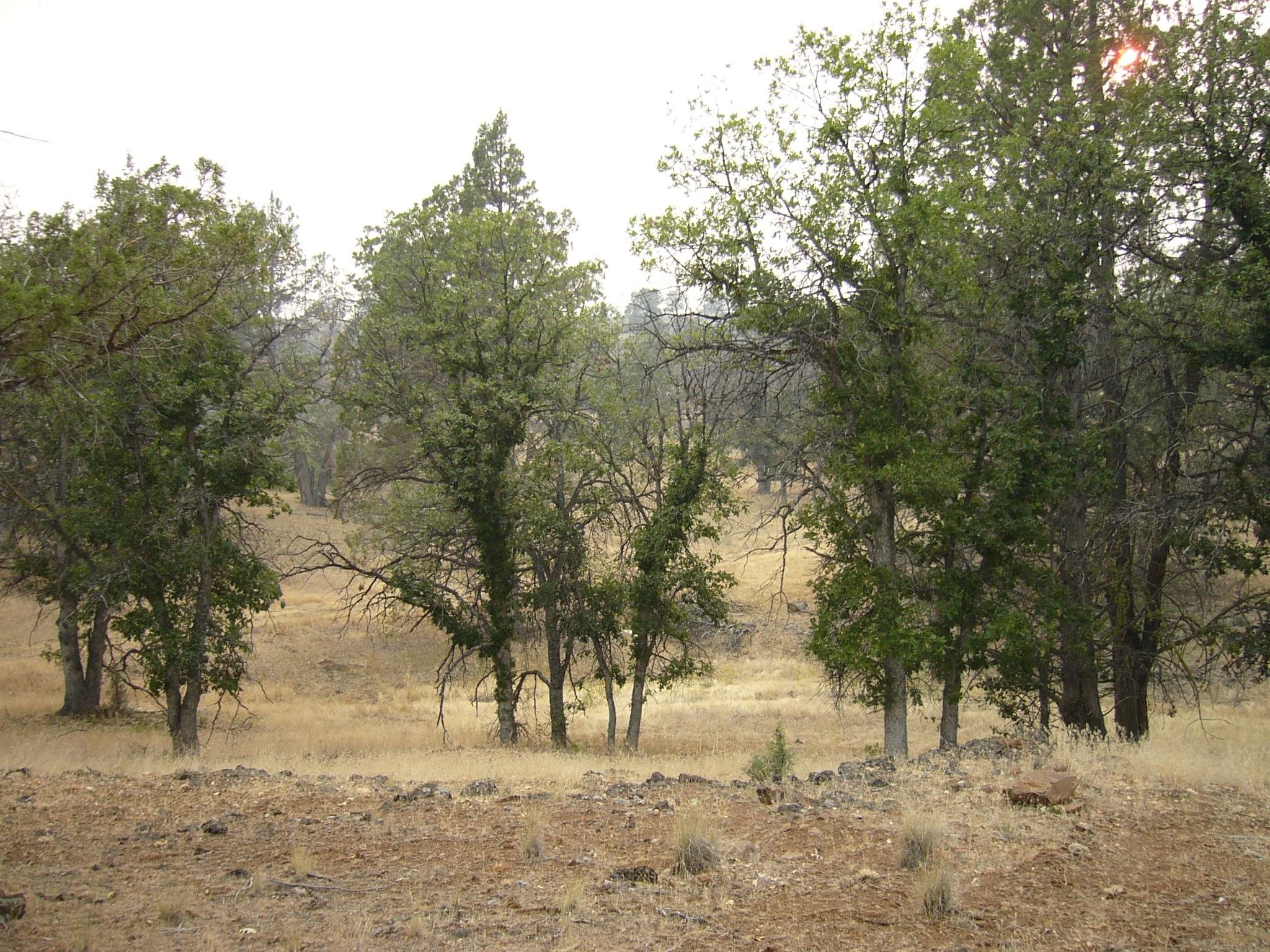 Moonfish Dr. 6.59 acres
