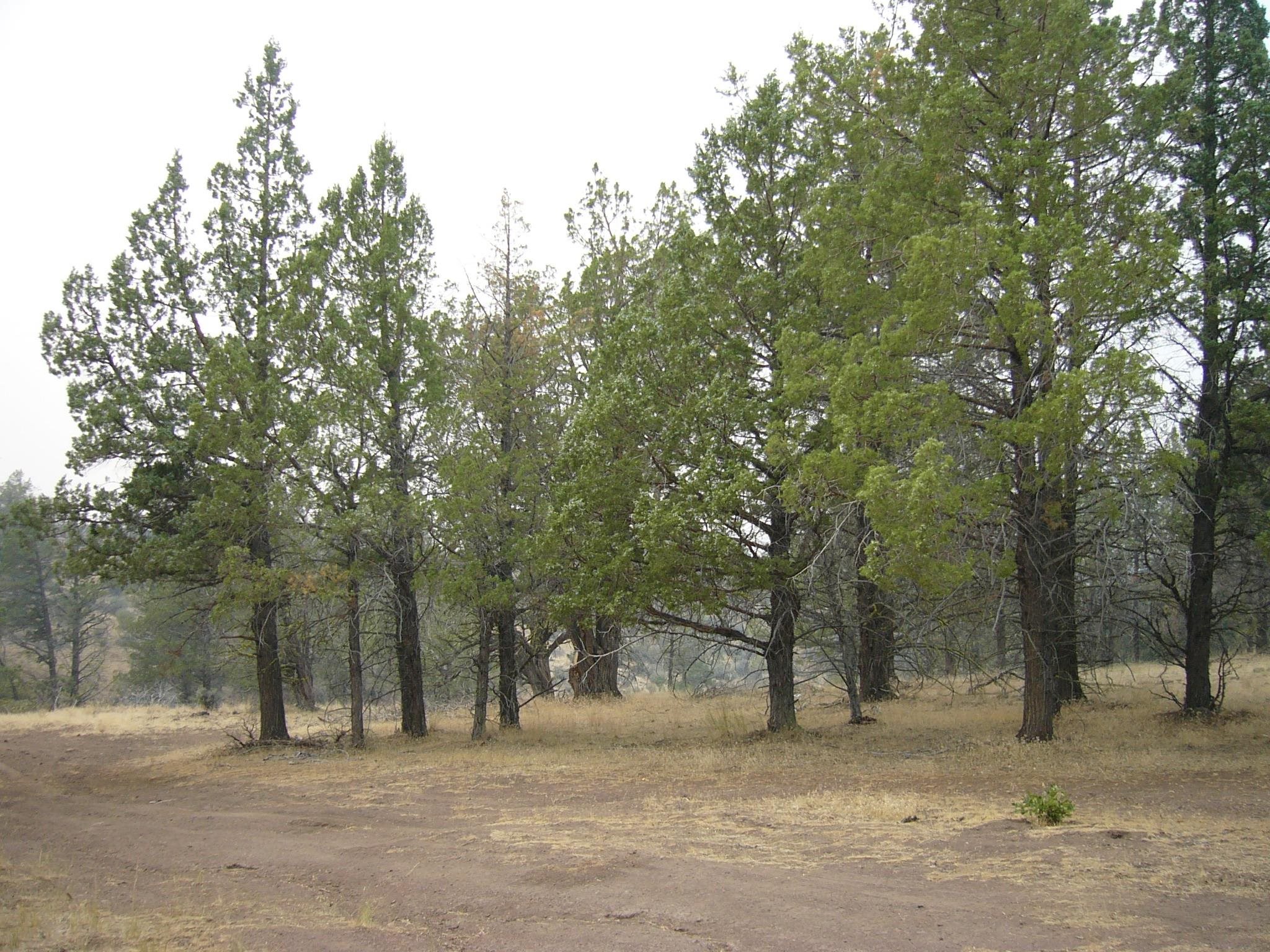 Moonfish Dr. 6.59 acres