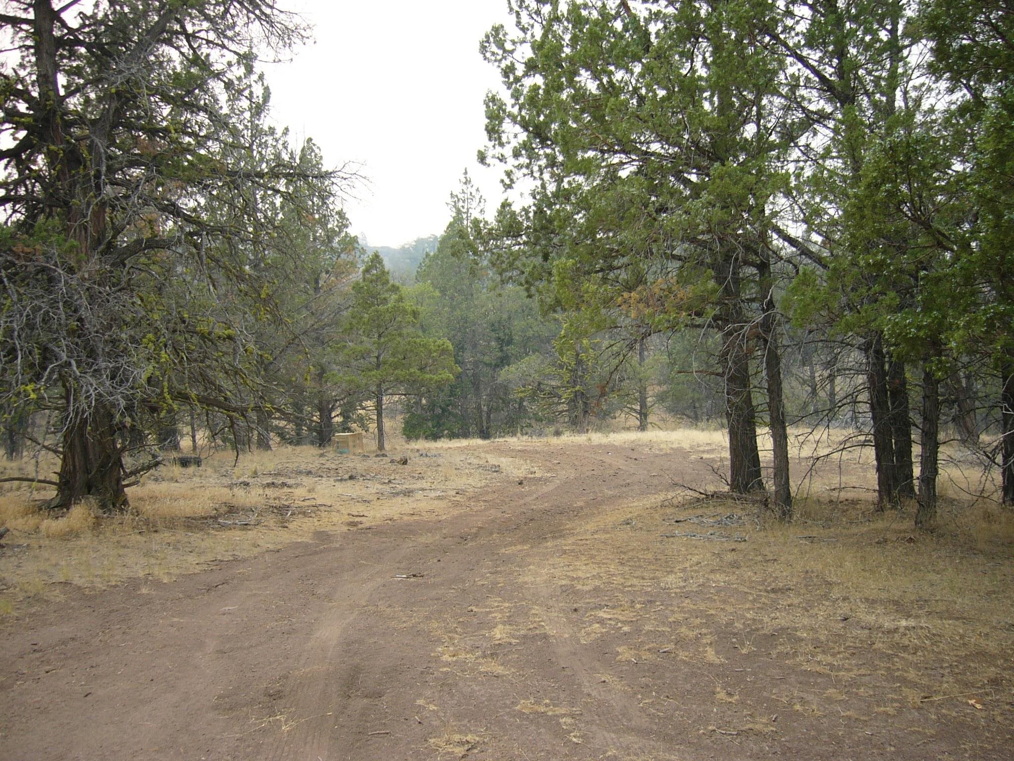 Moonfish Dr. 6.59 acres
