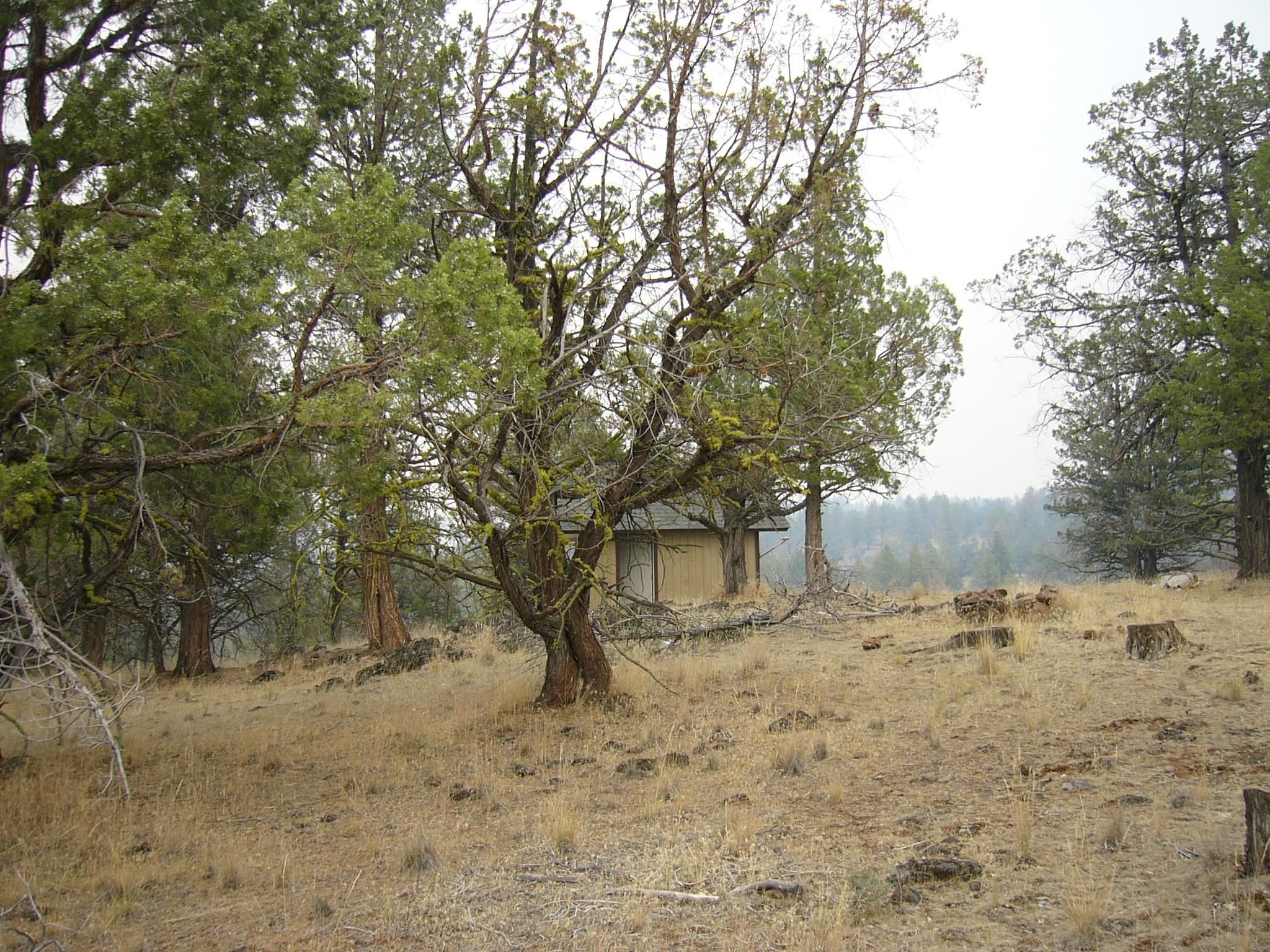 Moonfish Dr. 6.59 acres