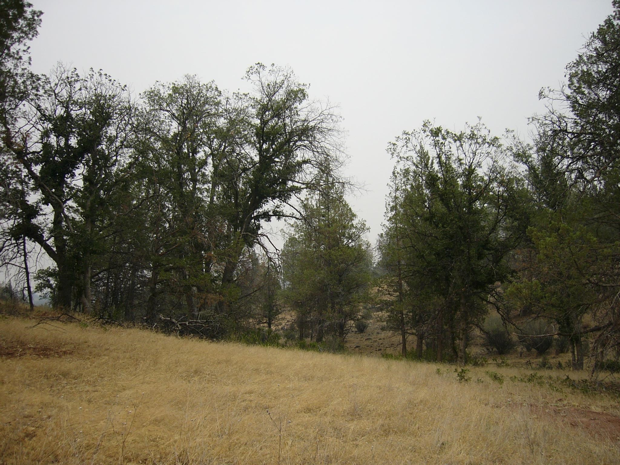 Moonfish Dr. 6.59 acres
