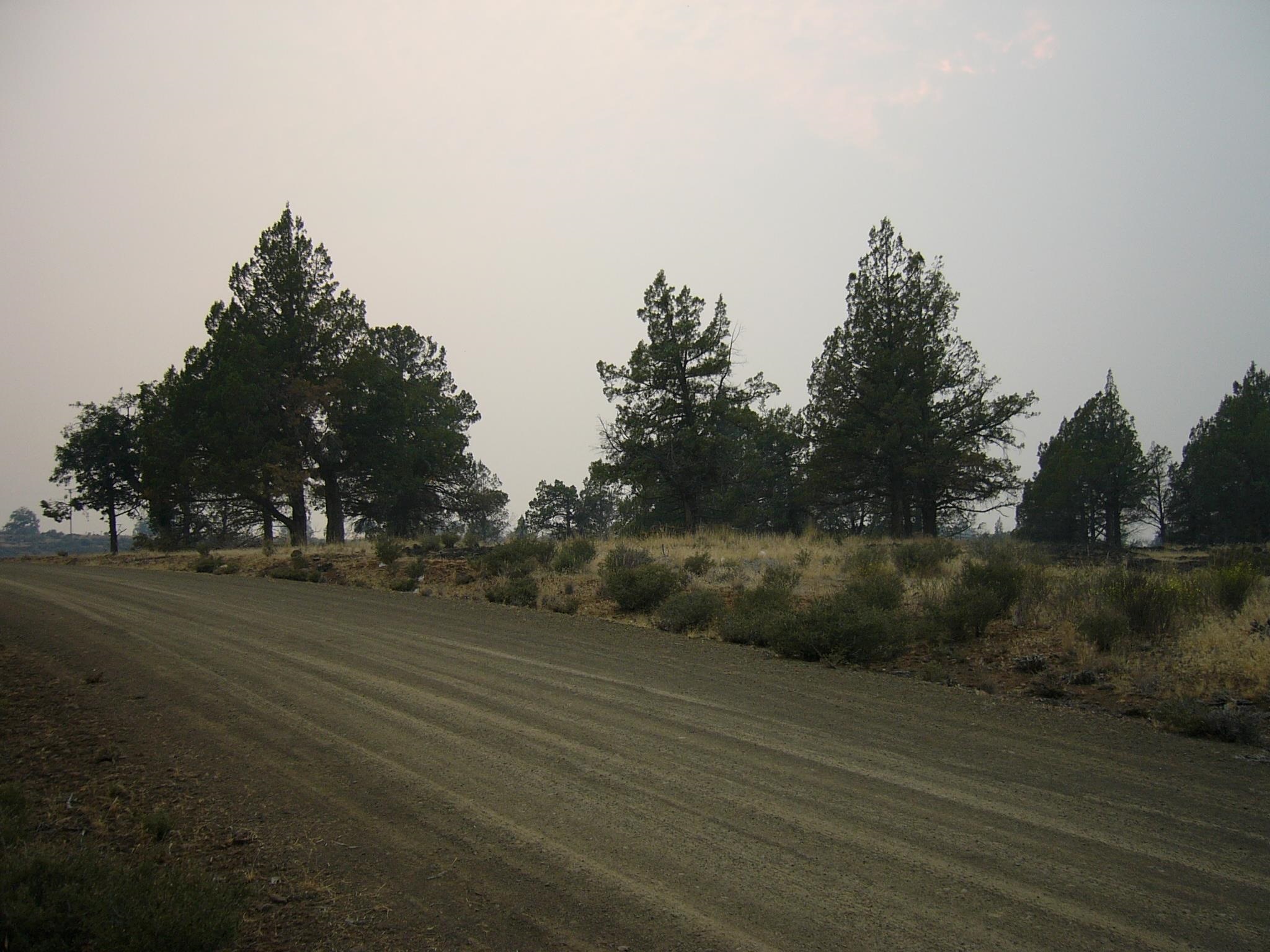 Moonfish Dr. 6.59 acres