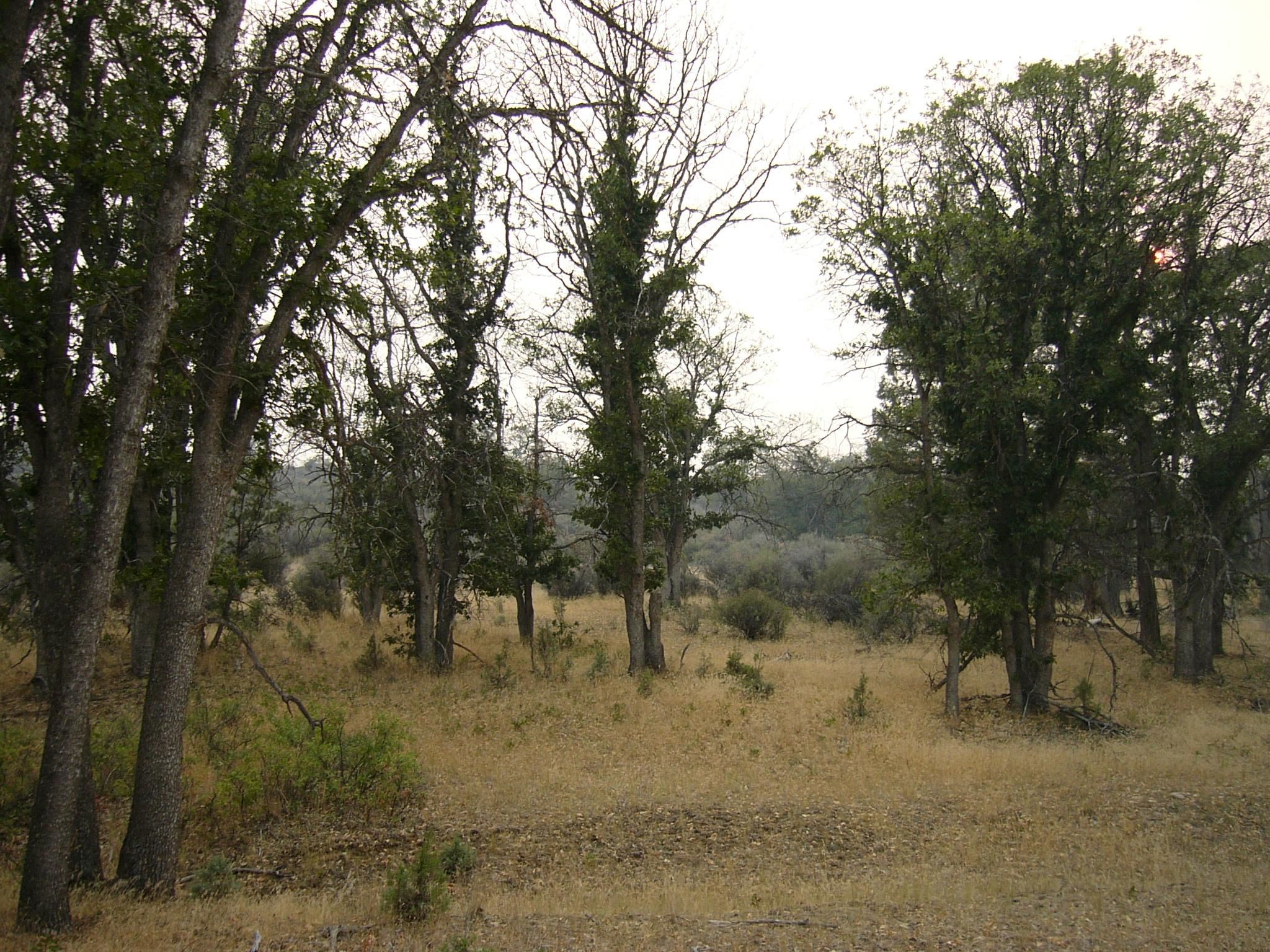 Moonfish Dr. 6.59 acres