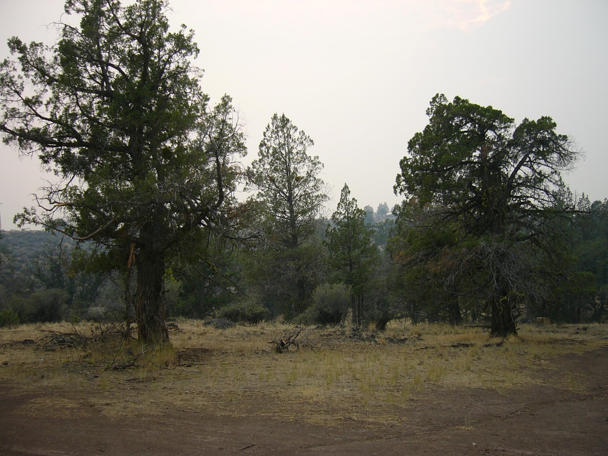 Moonfish Dr. 6.59 acres