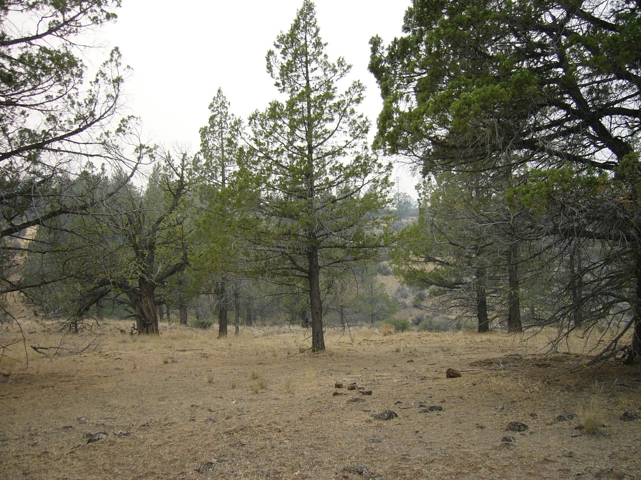 Moonfish Dr. 6.59 acres