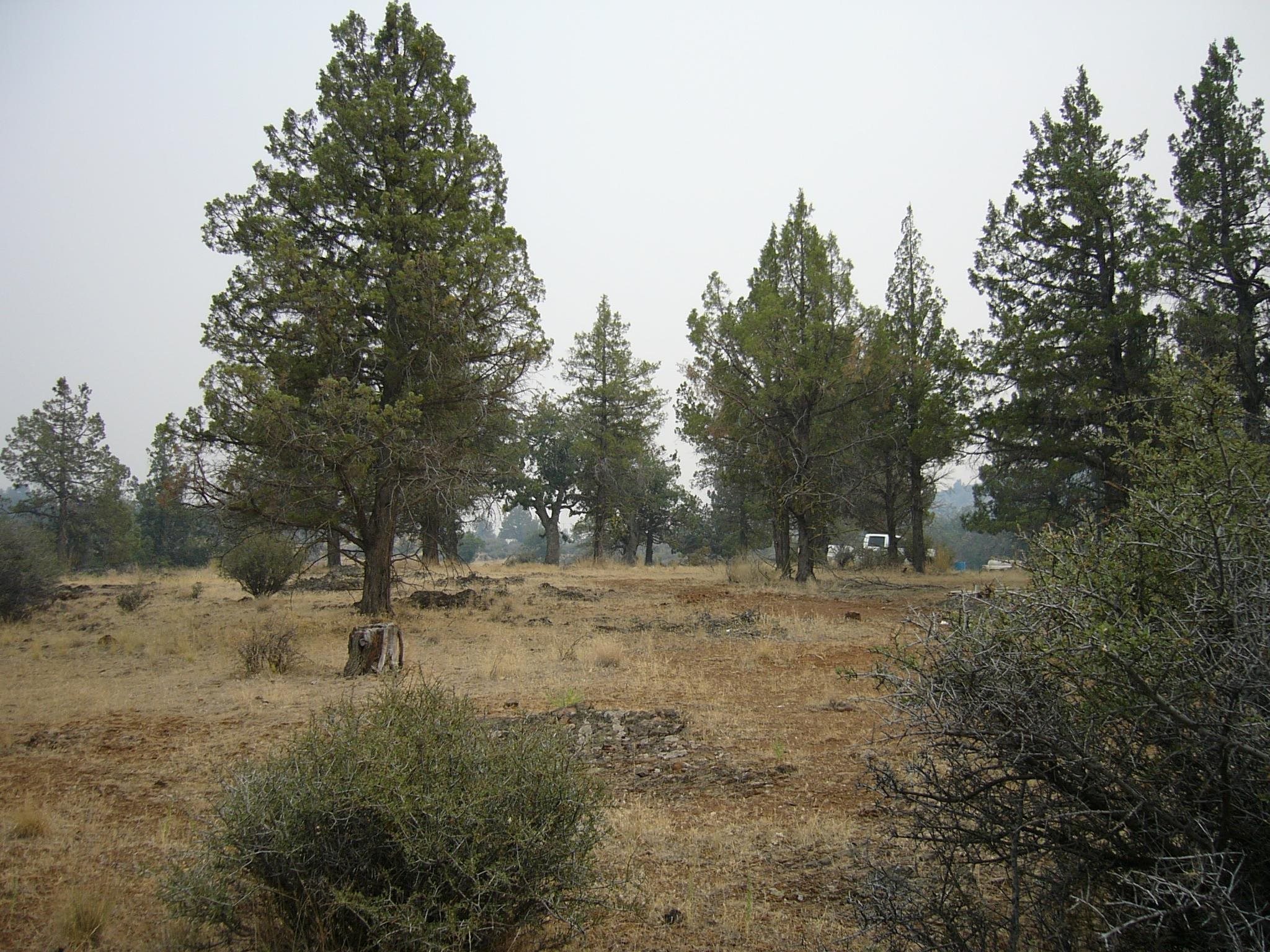 Moonfish Dr. 6.59 acres