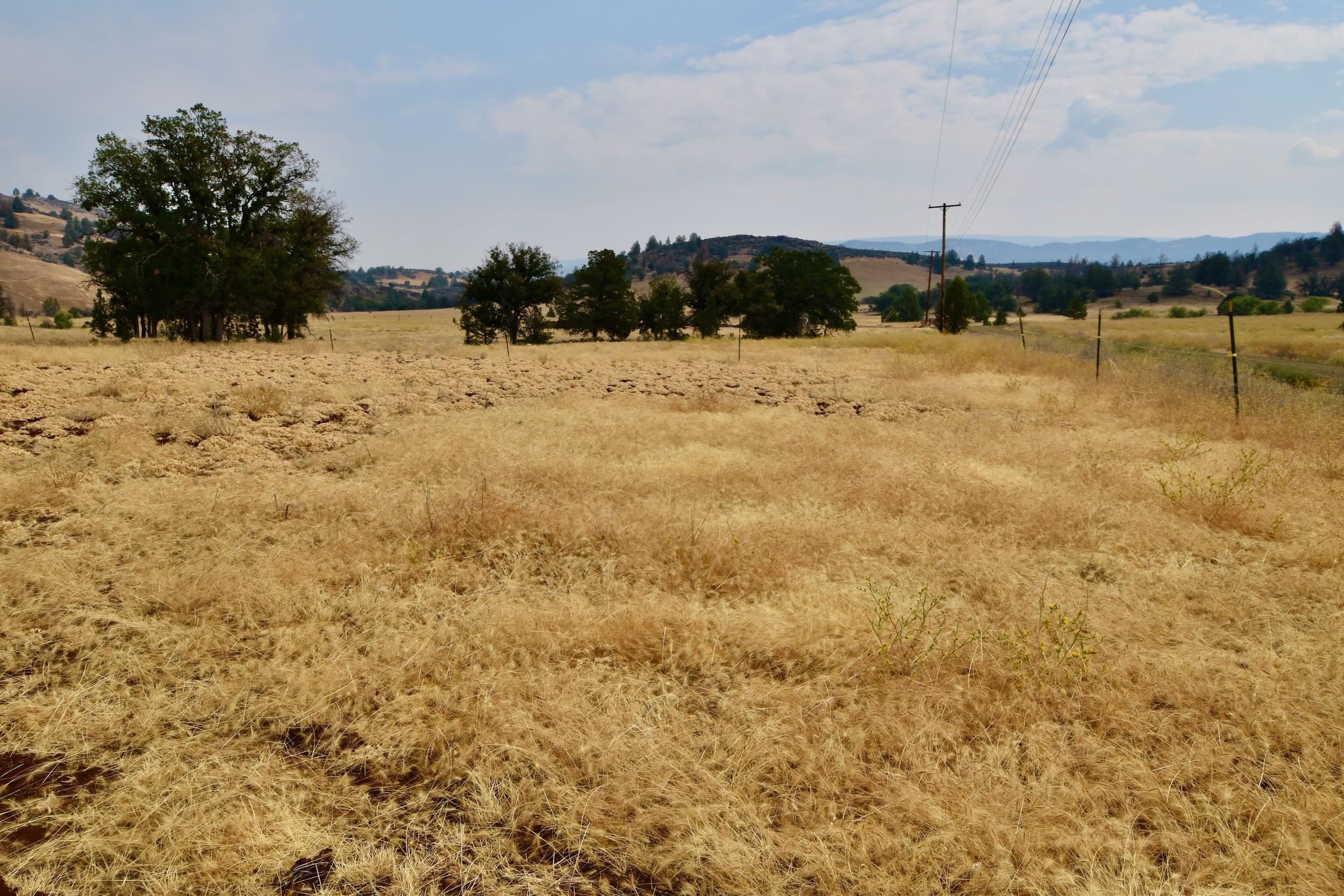 Unit 5 Lot 4 Jaguar St.