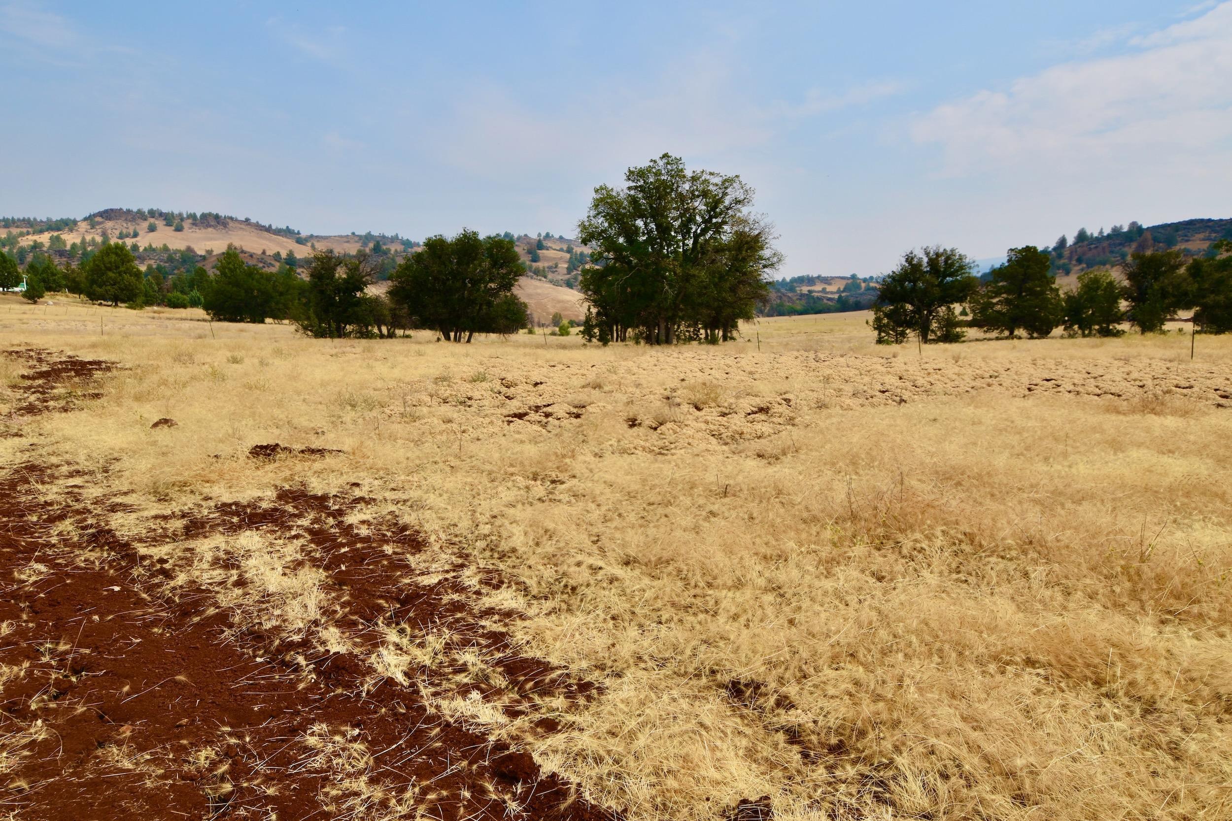 Unit 5 Lot 4 Jaguar St.