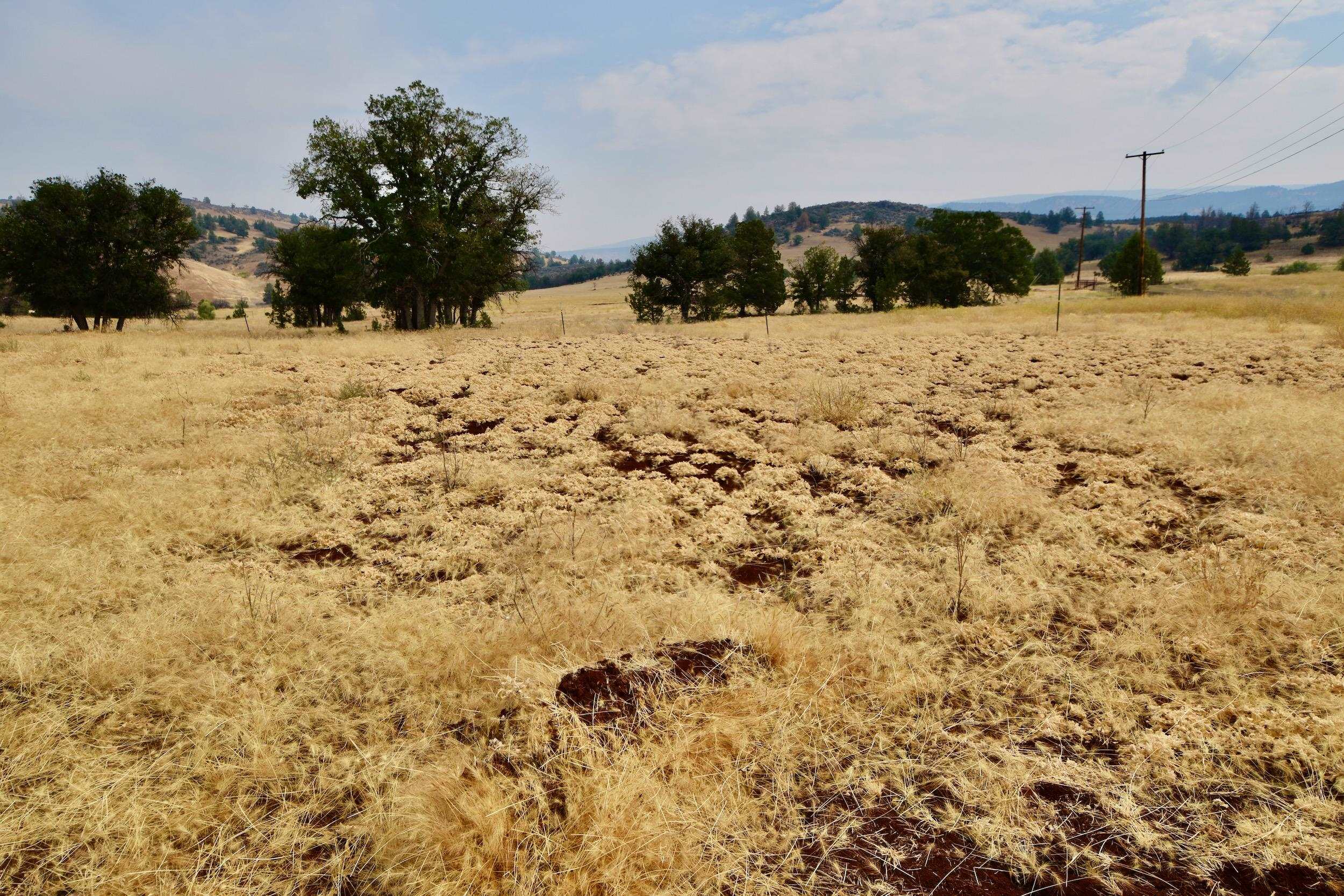 Unit 5 Lot 4 Jaguar St.