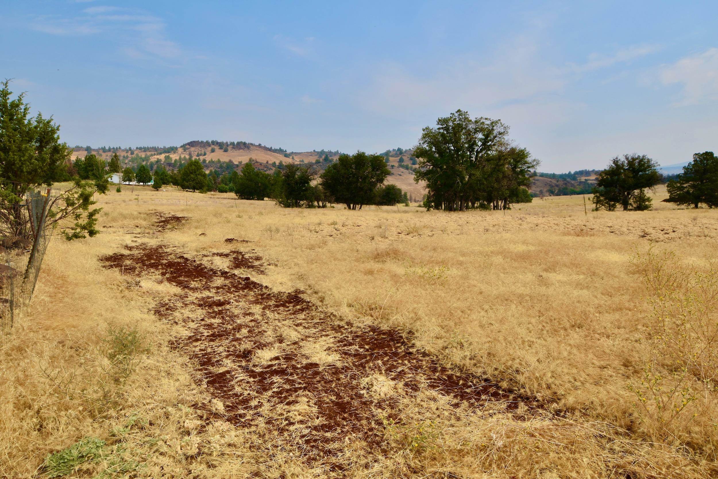 Unit 5 Lot 4 Jaguar St.