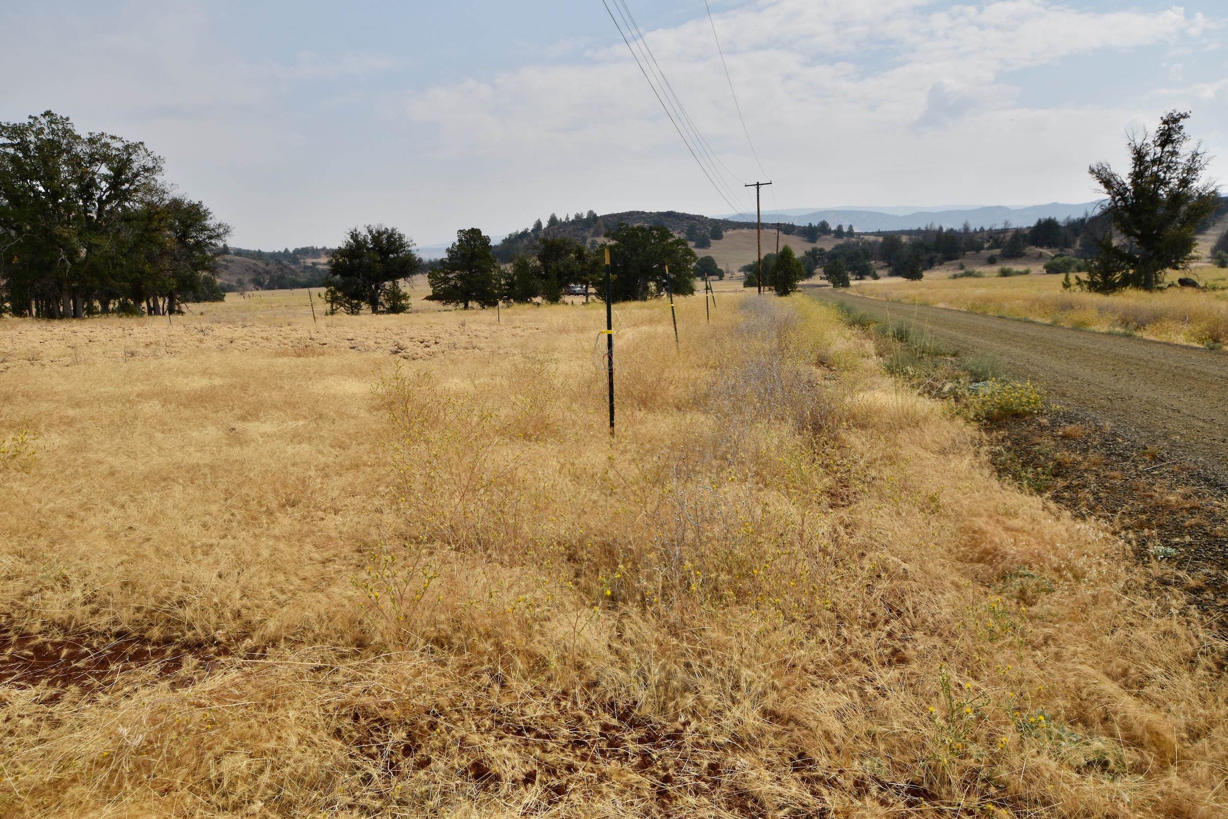 Unit 5 Lot 4 Jaguar St.