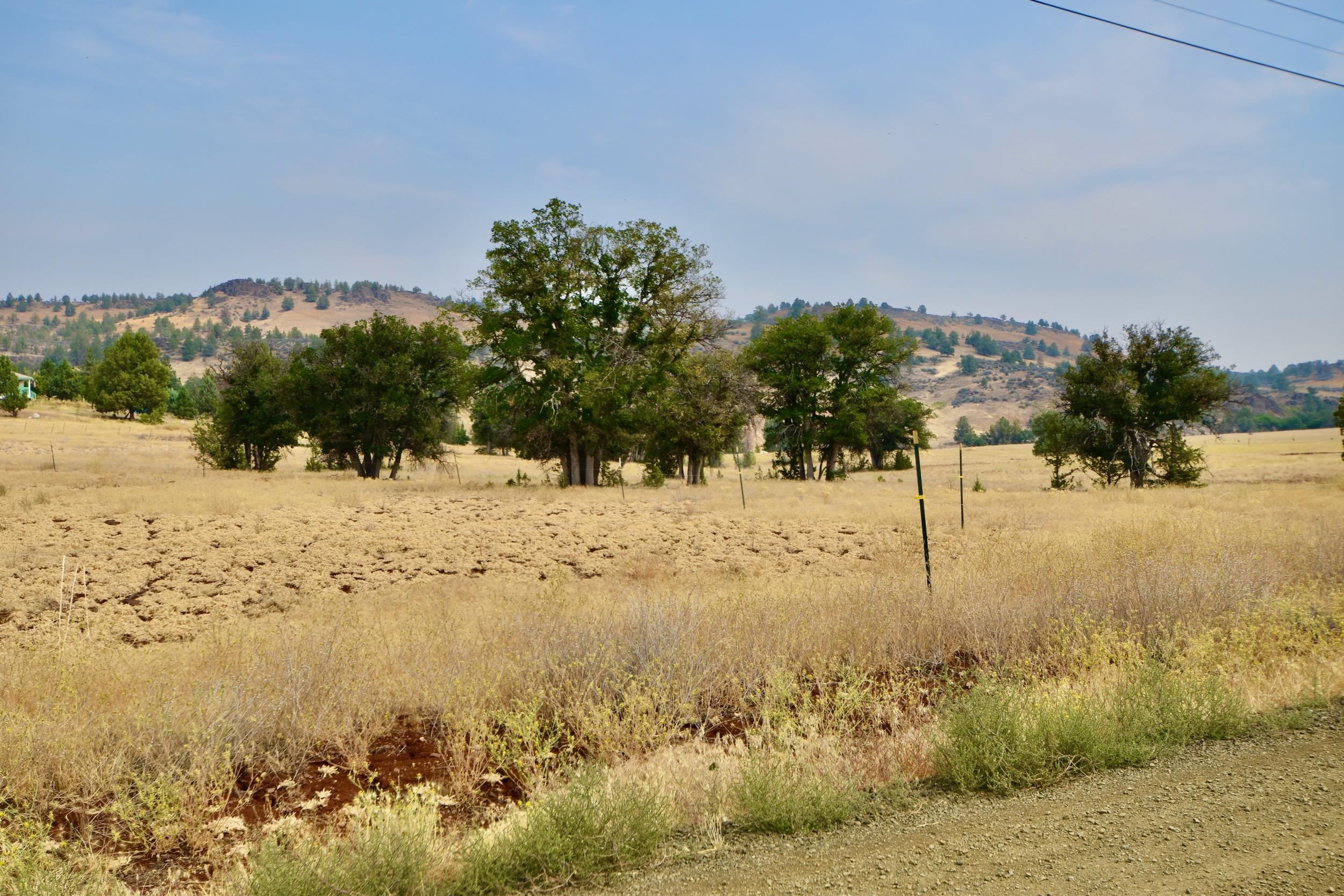 Unit 5 Lot 4 Jaguar St.