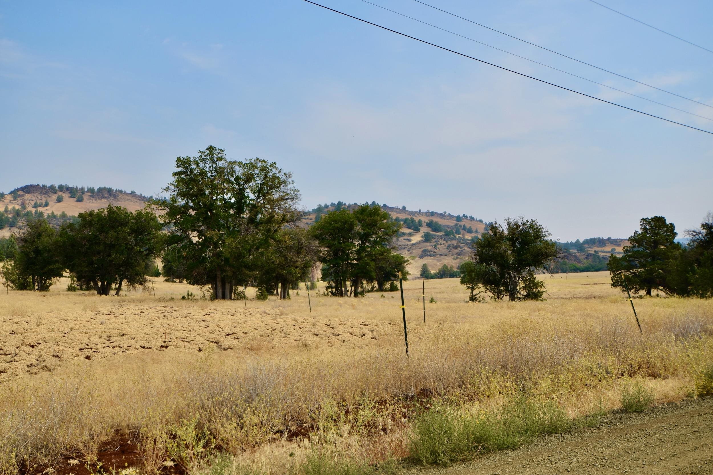 Unit 5 Lot 4 Jaguar St.