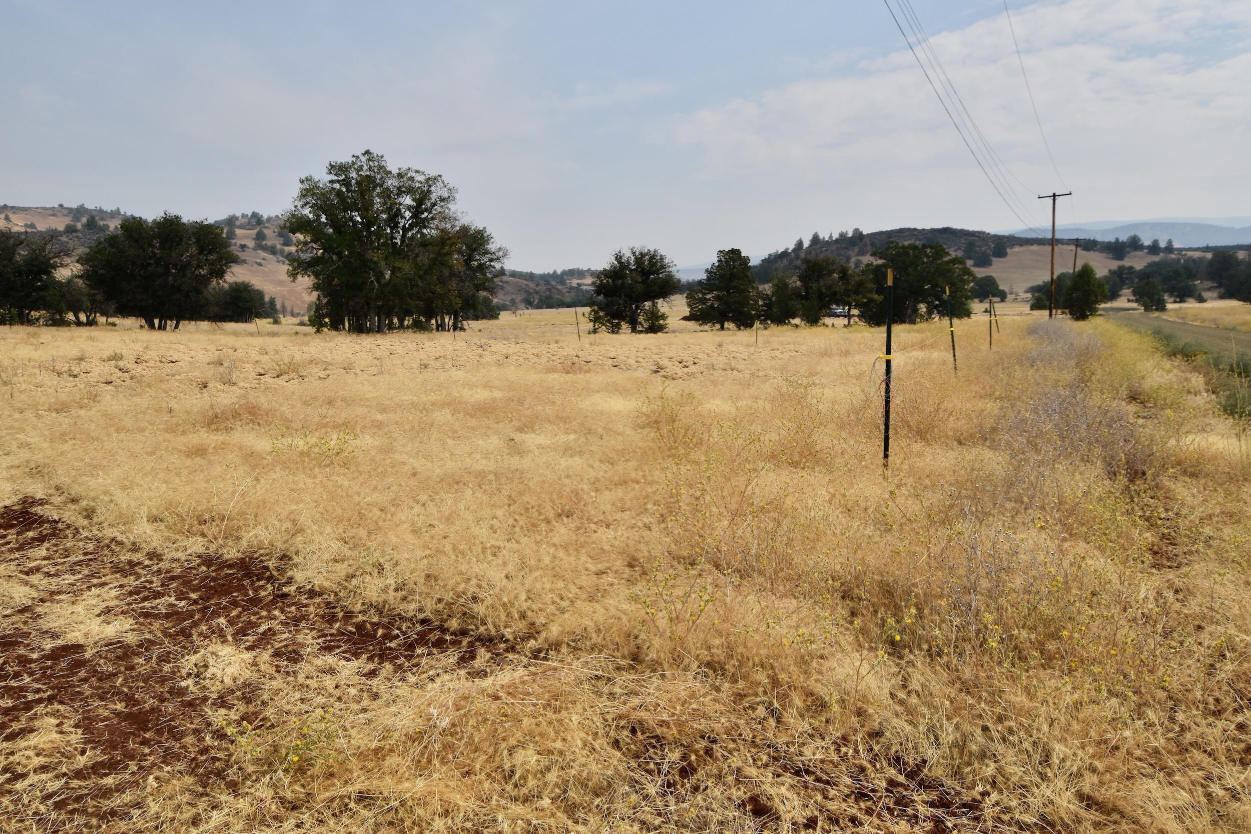 Unit 5 Lot 4 Jaguar St.