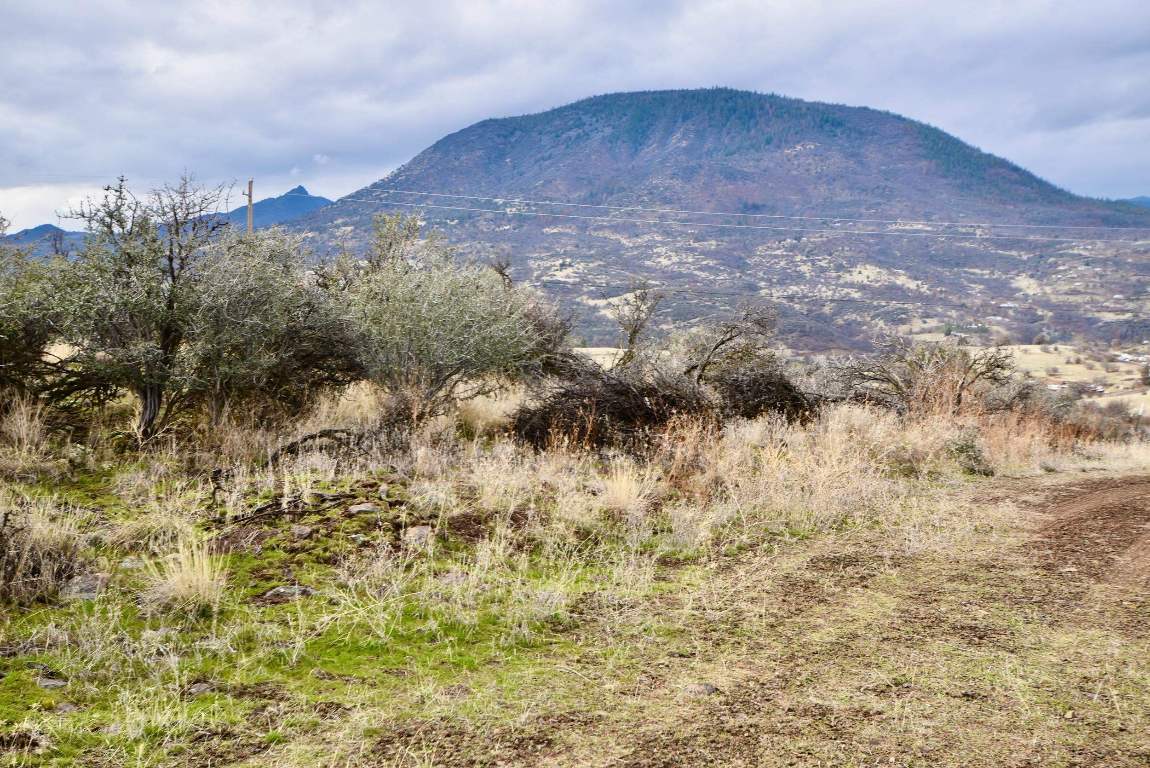 Lot 98 Moore Dr.