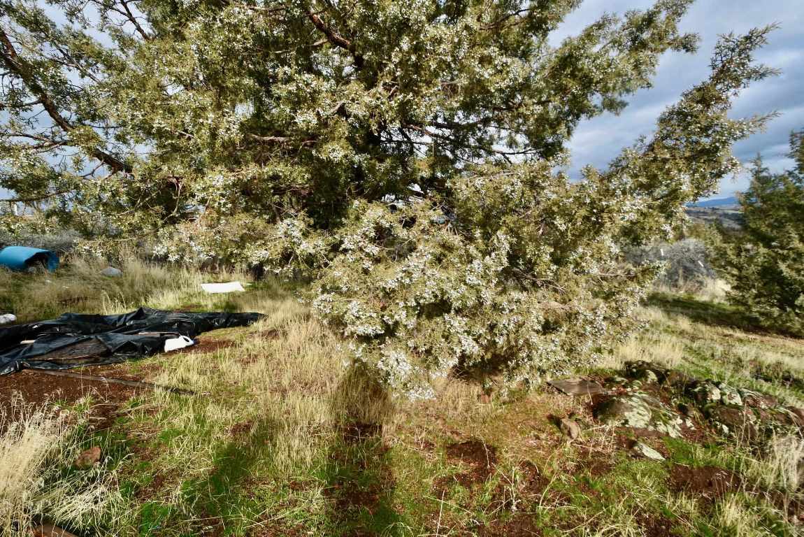 Lot 98 Moore Dr.