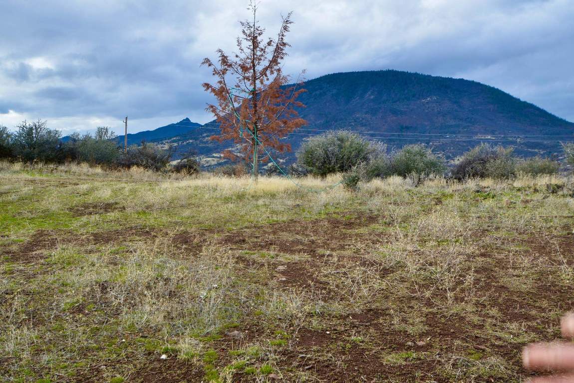 Lot 98 Moore Dr.