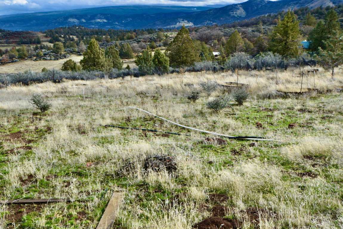 Lot 98 Moore Dr.