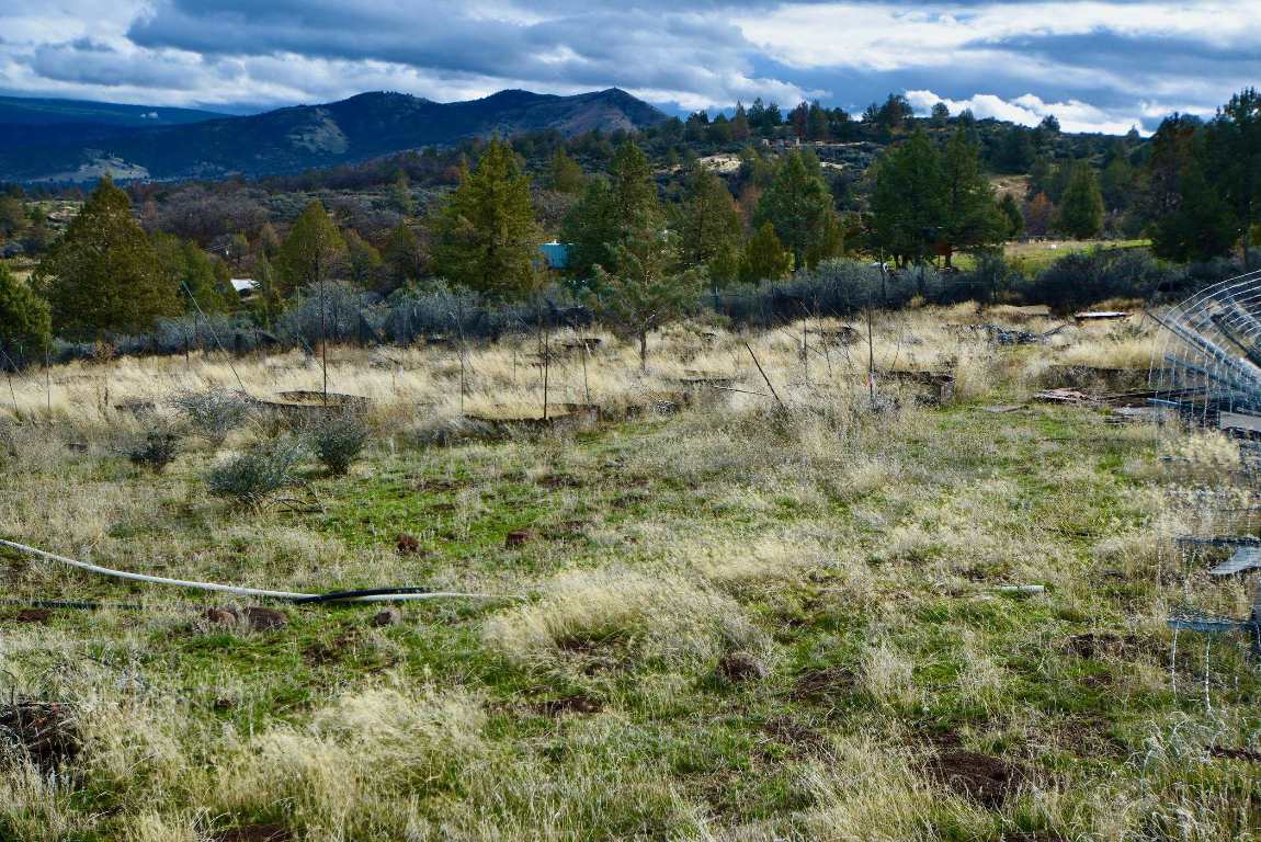 Lot 98 Moore Dr.