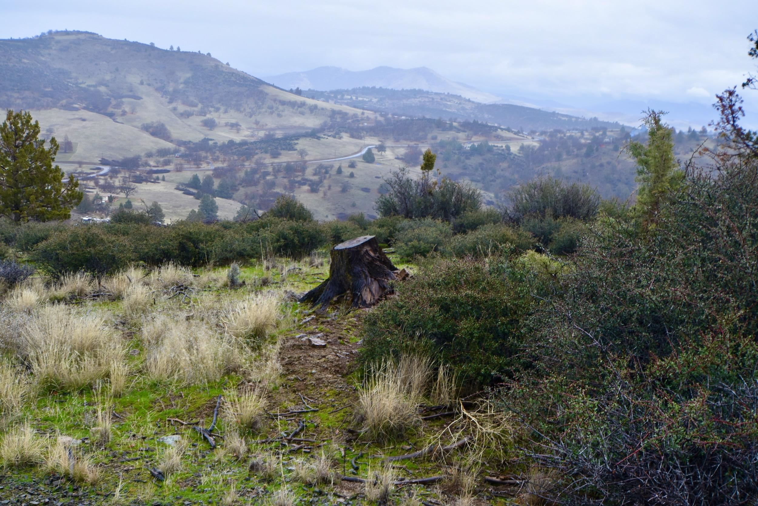 Lot 47 Ponderosa Pl