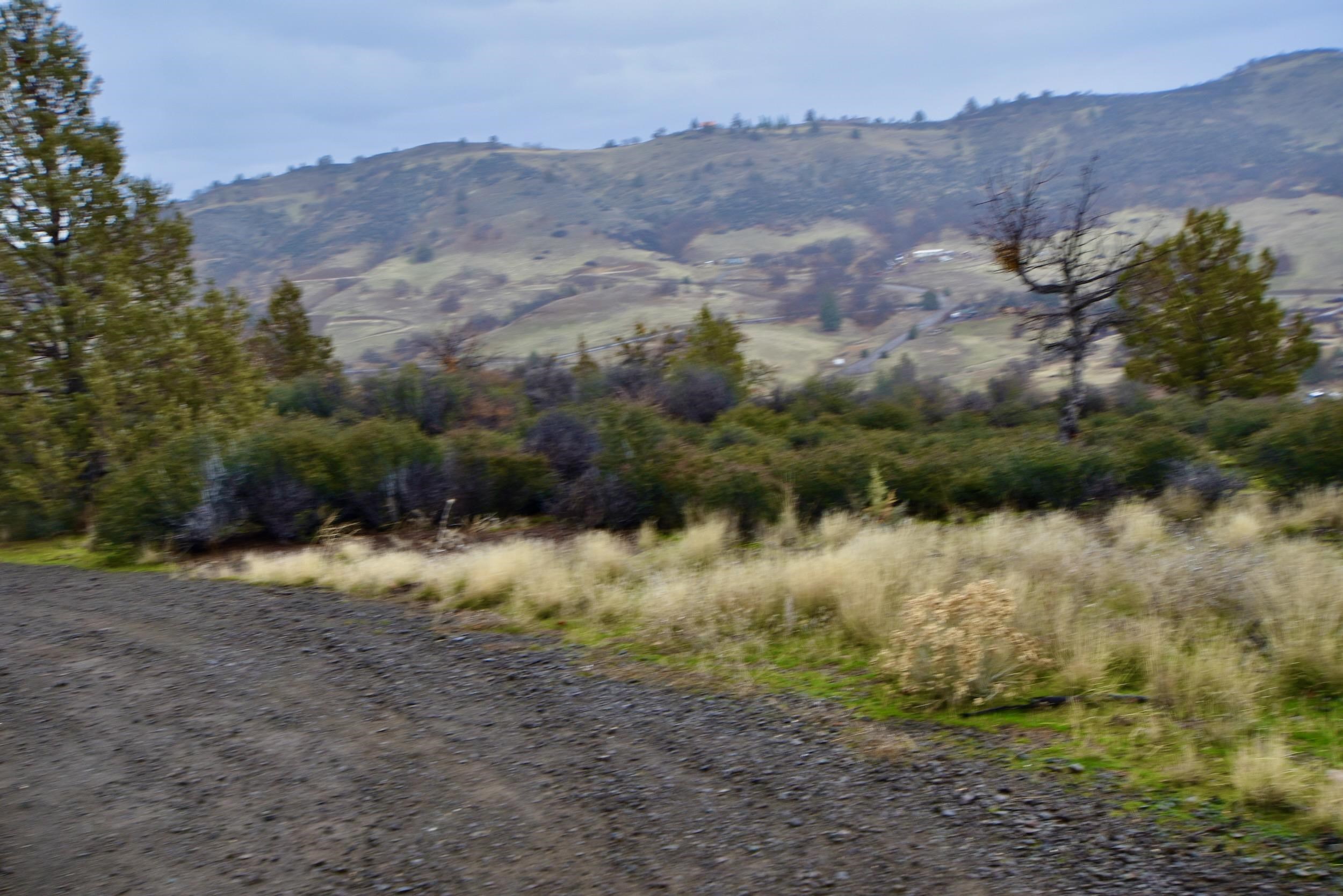 Lot 47 Ponderosa Pl