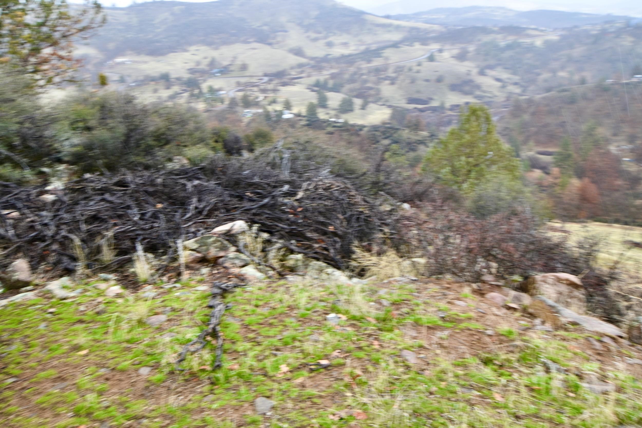 Lot 47 Ponderosa Pl