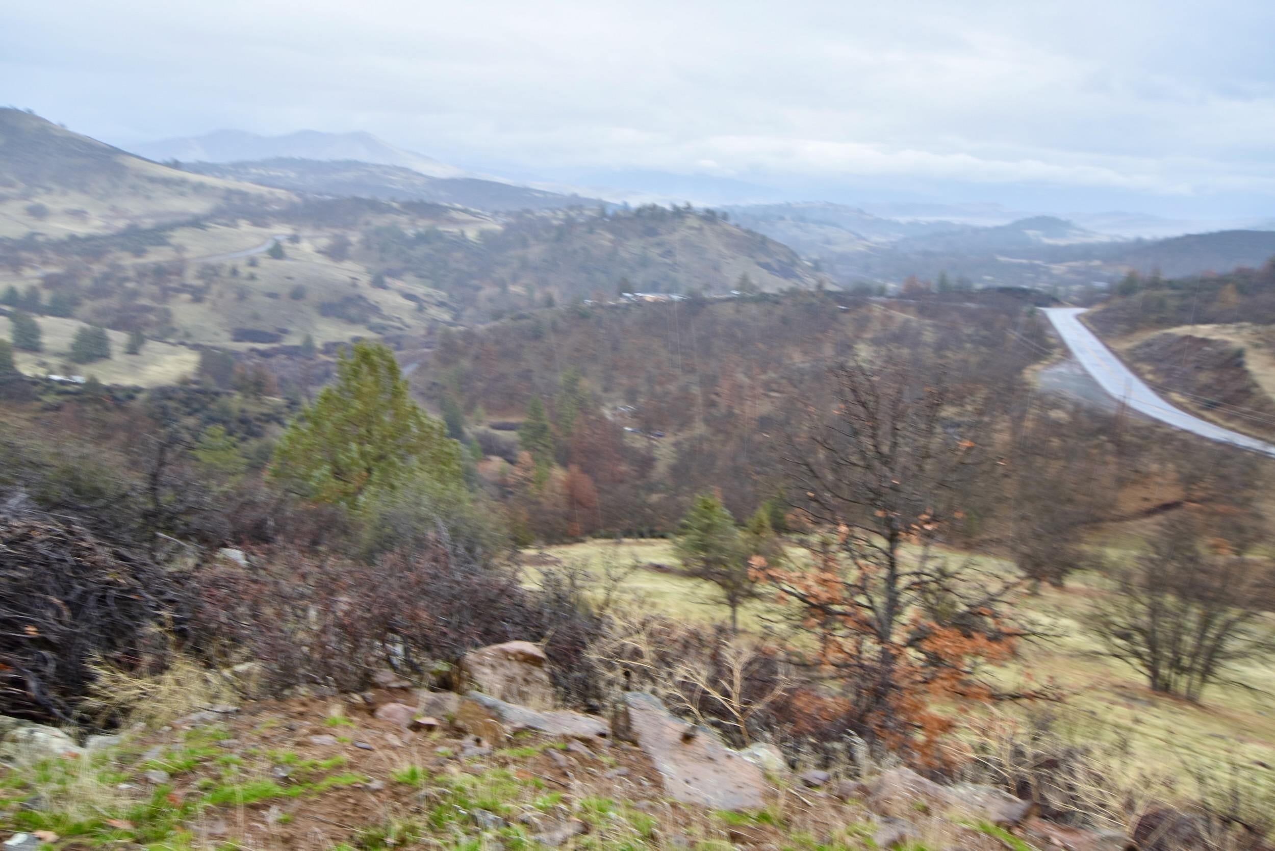 Lot 47 Ponderosa Pl