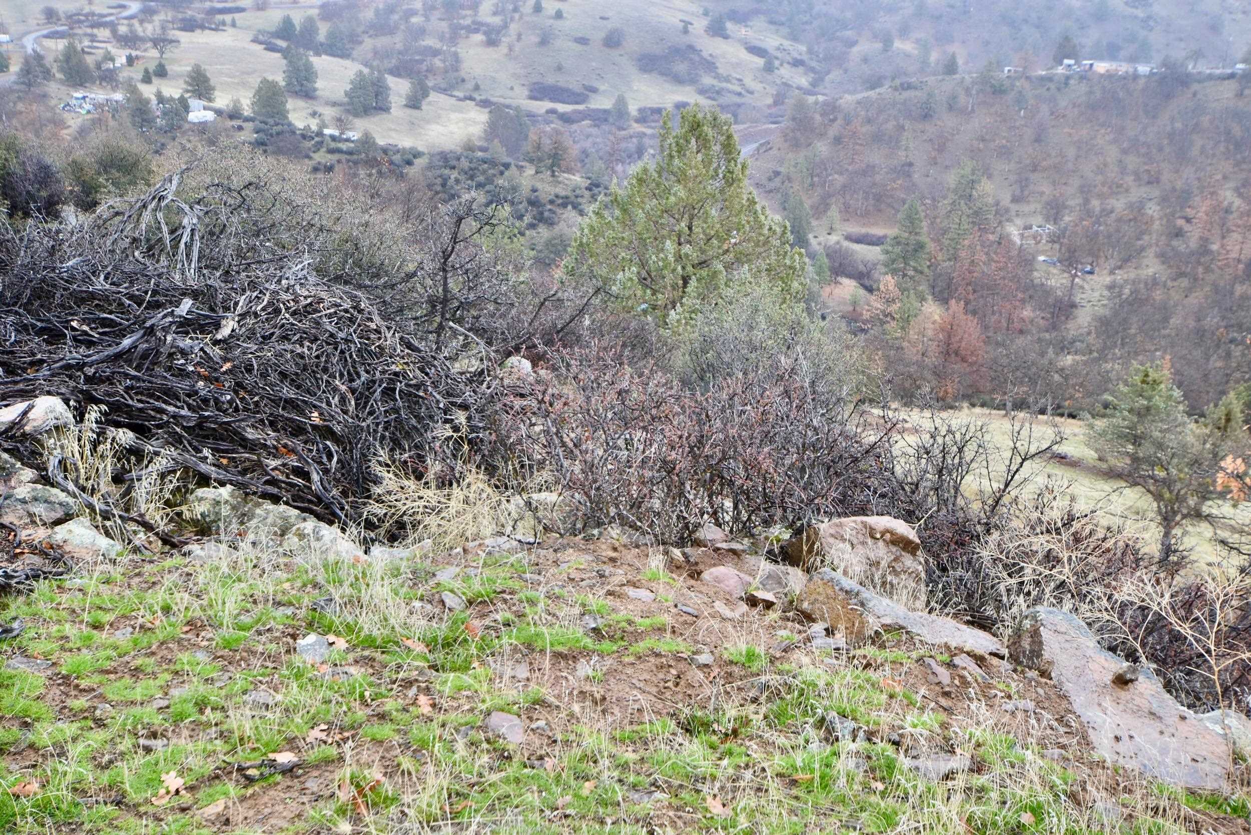 Lot 47 Ponderosa Pl