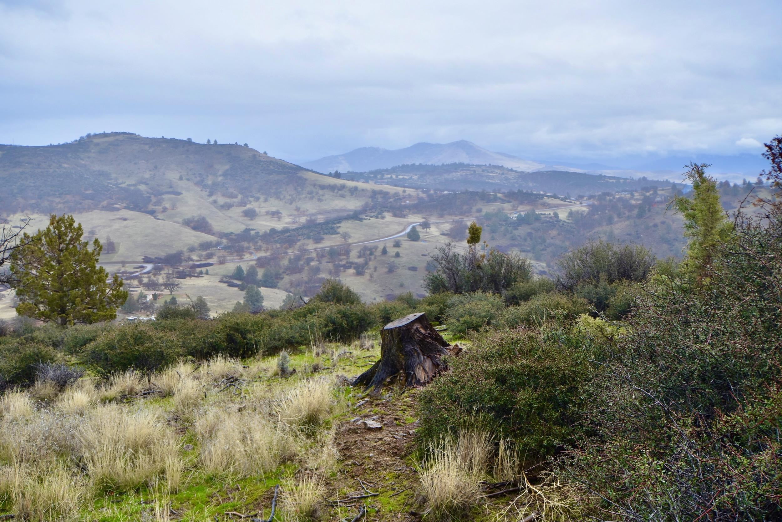 Lot 47 Ponderosa Pl