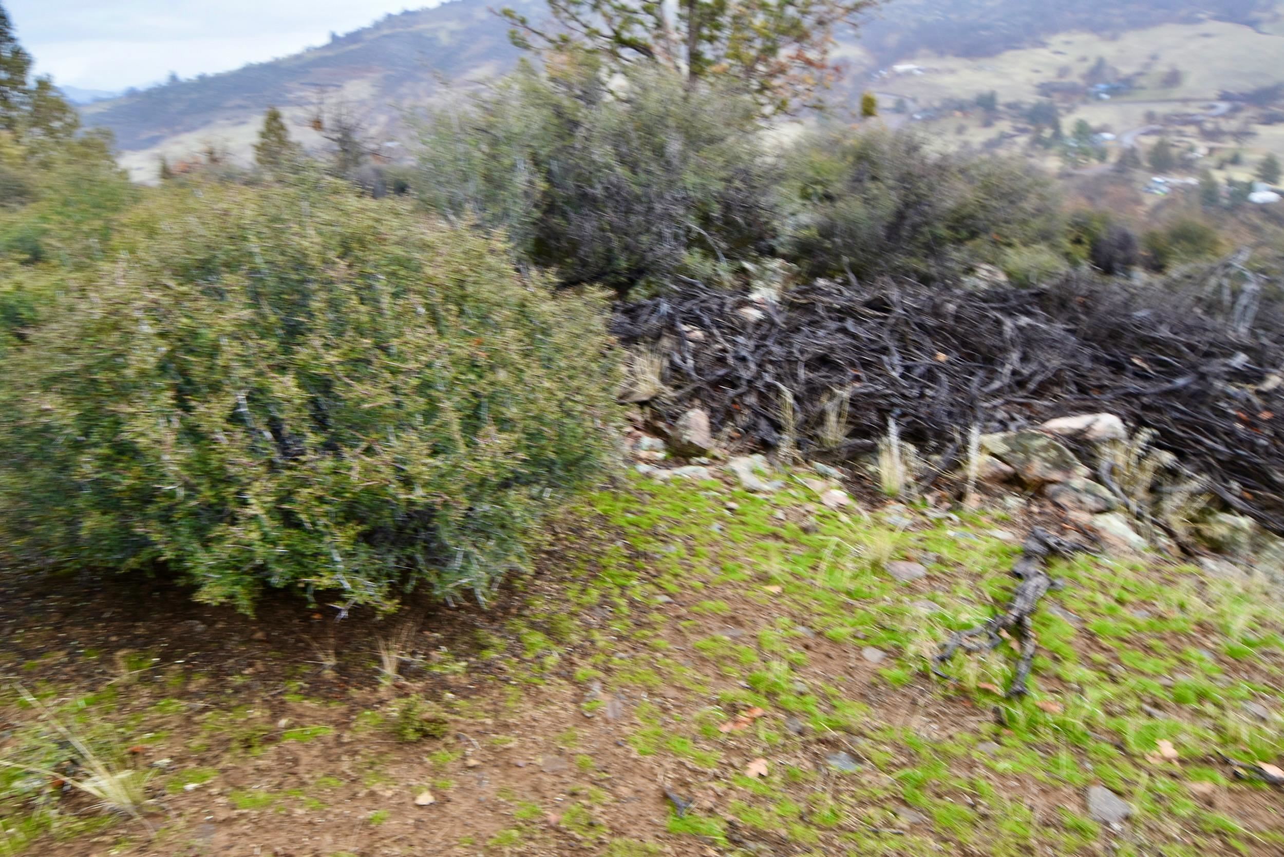 Lot 47 Ponderosa Pl