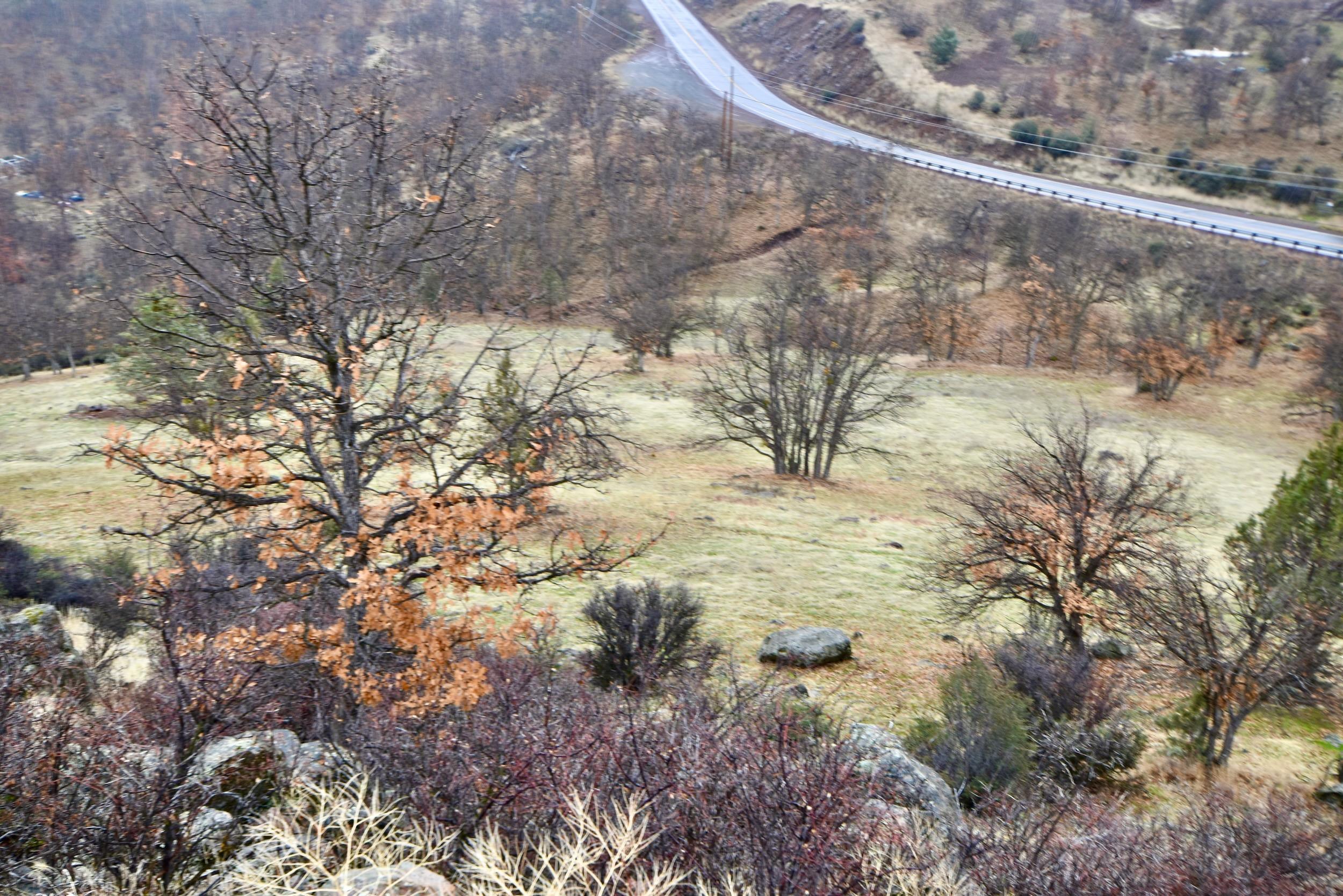Lot 47 Ponderosa Pl