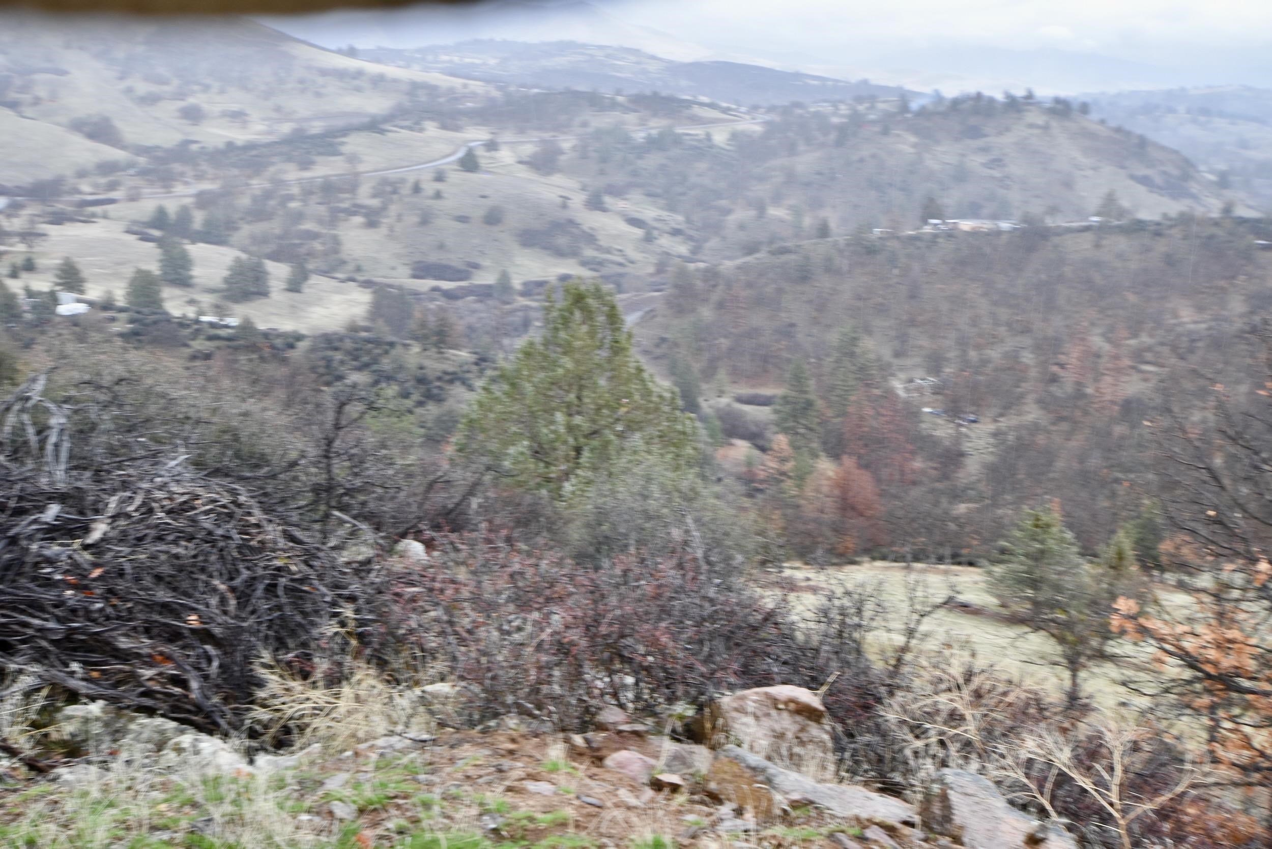 Lot 47 Ponderosa Pl