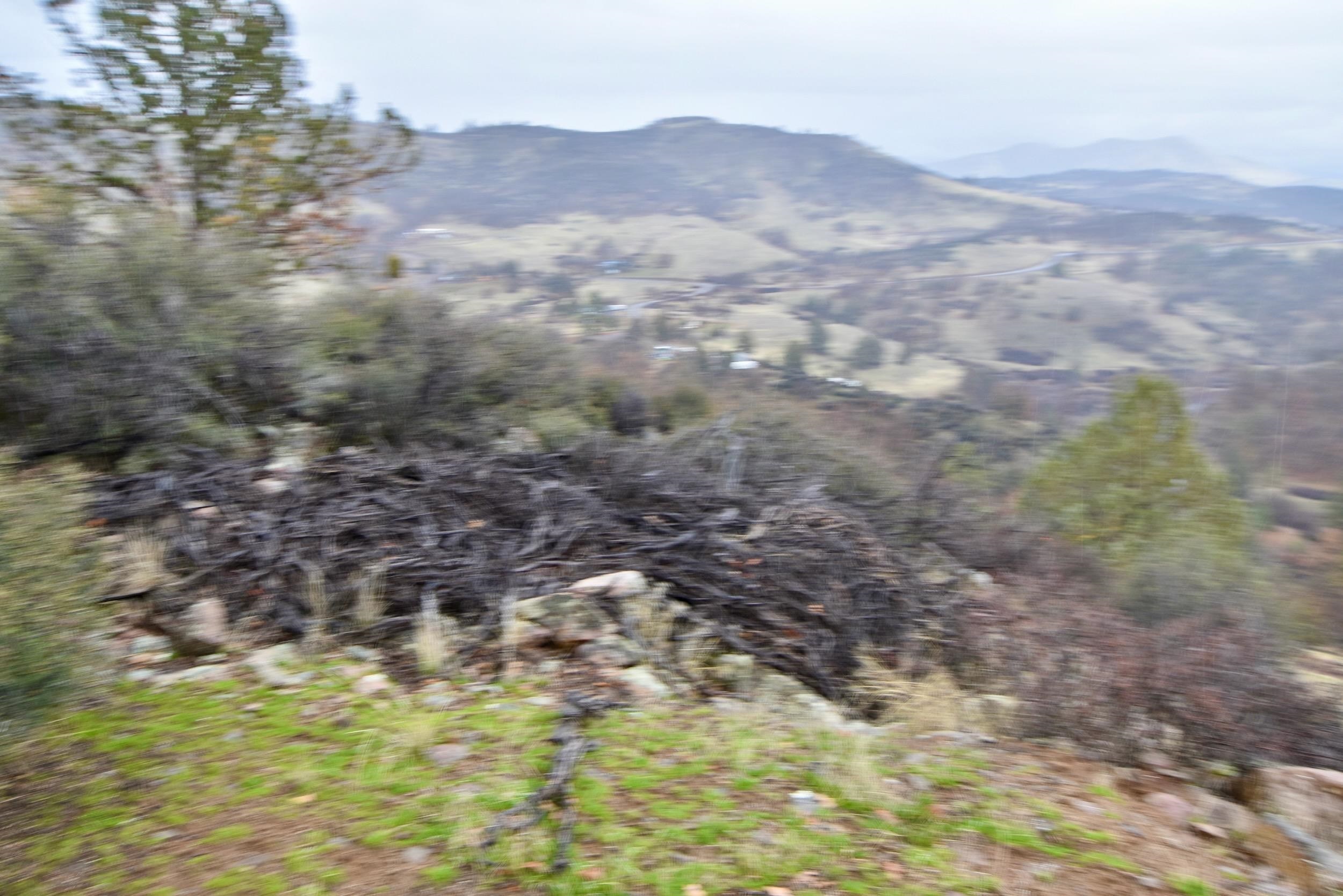 Lot 47 Ponderosa Pl