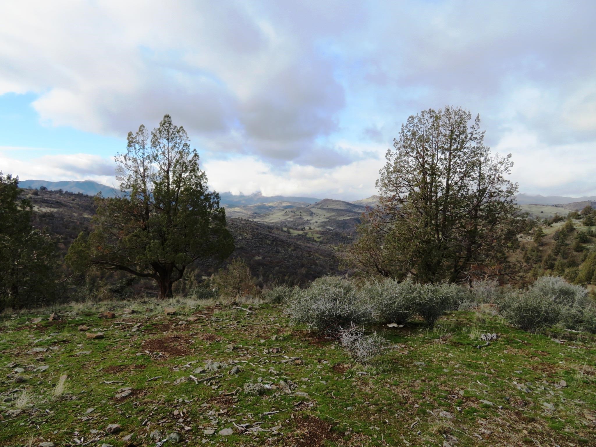 Lot 530 Blue Gill Dr