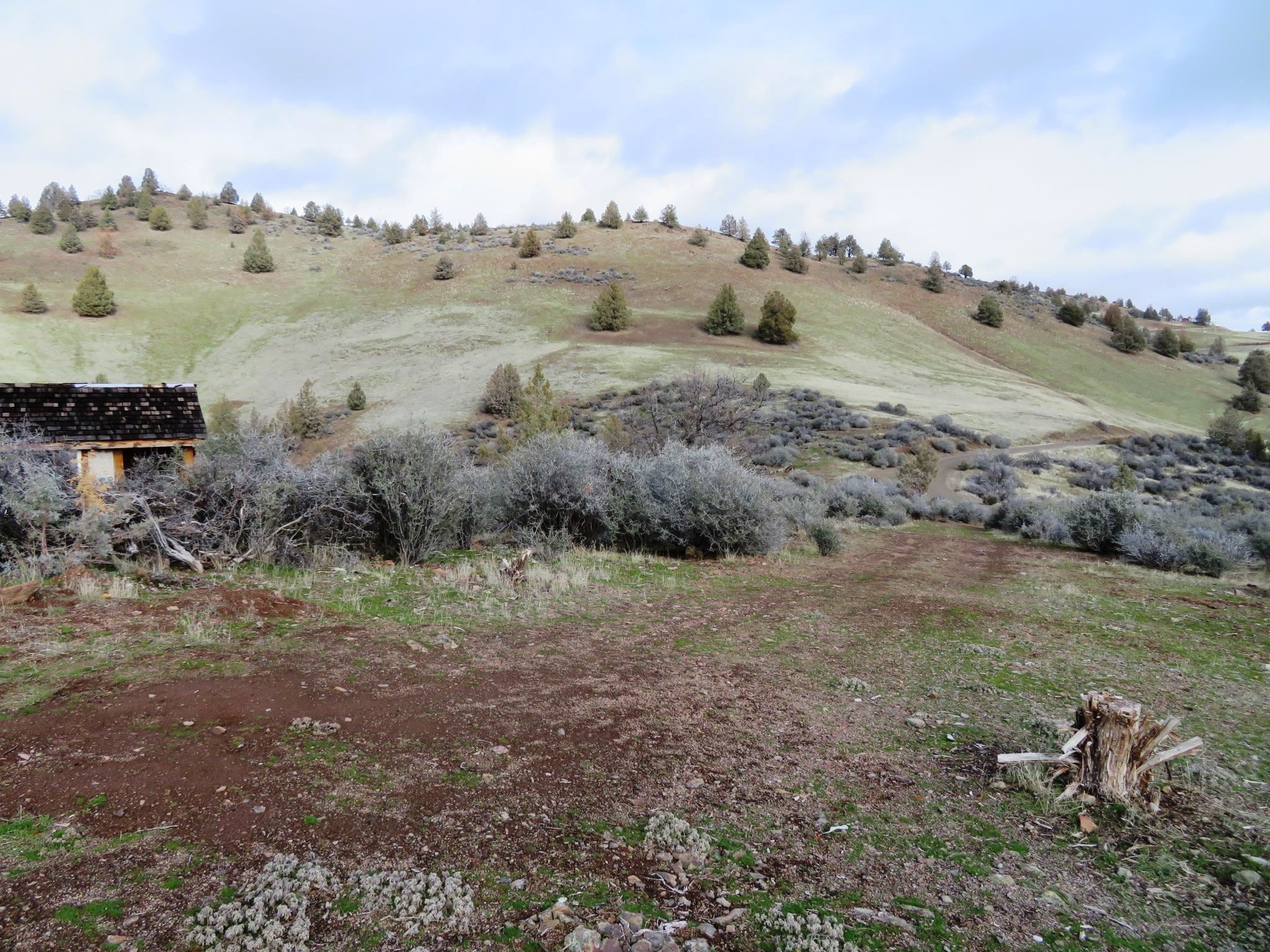 Lot 530 Blue Gill Dr