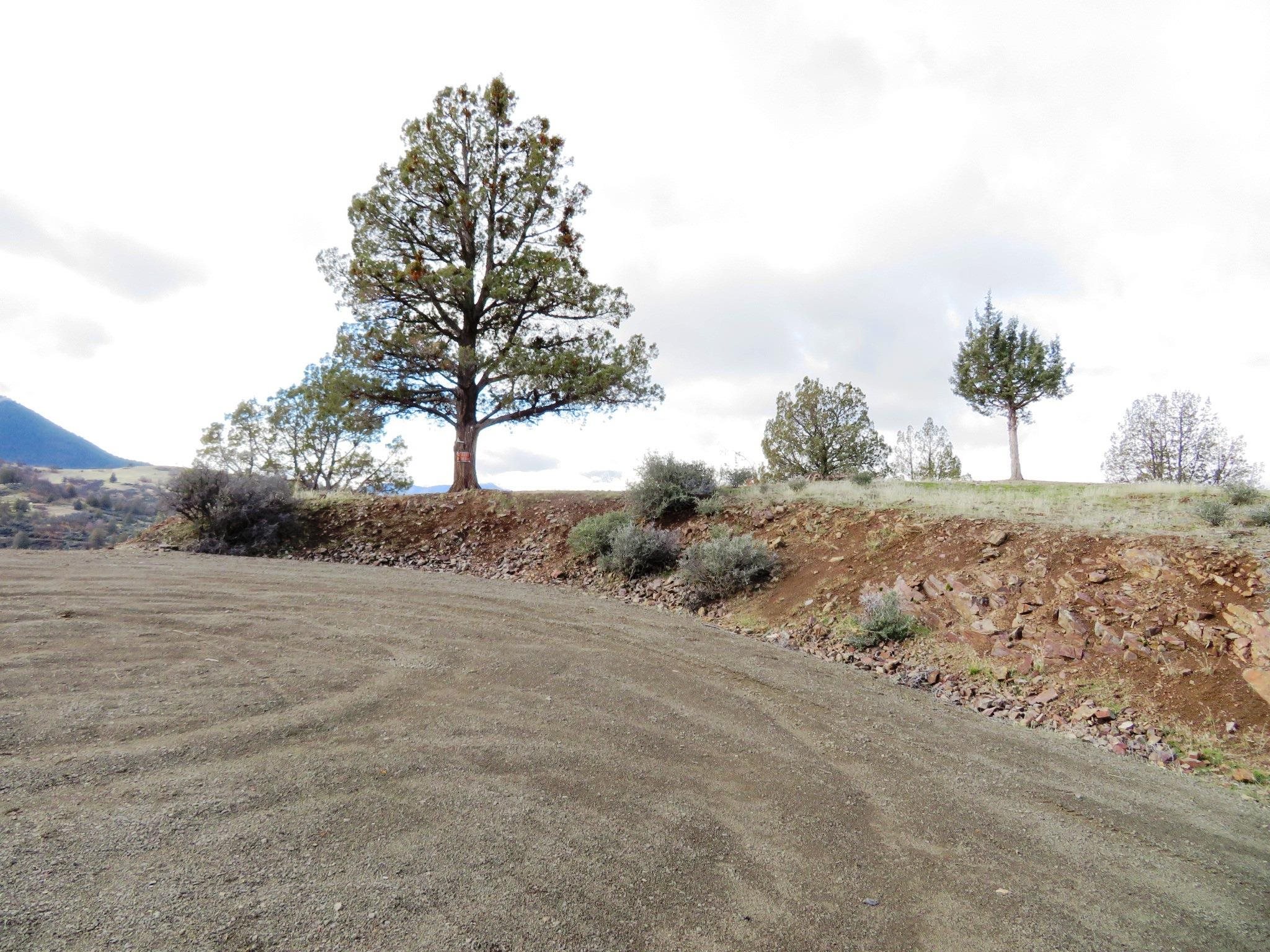 Lot 530 Blue Gill Dr