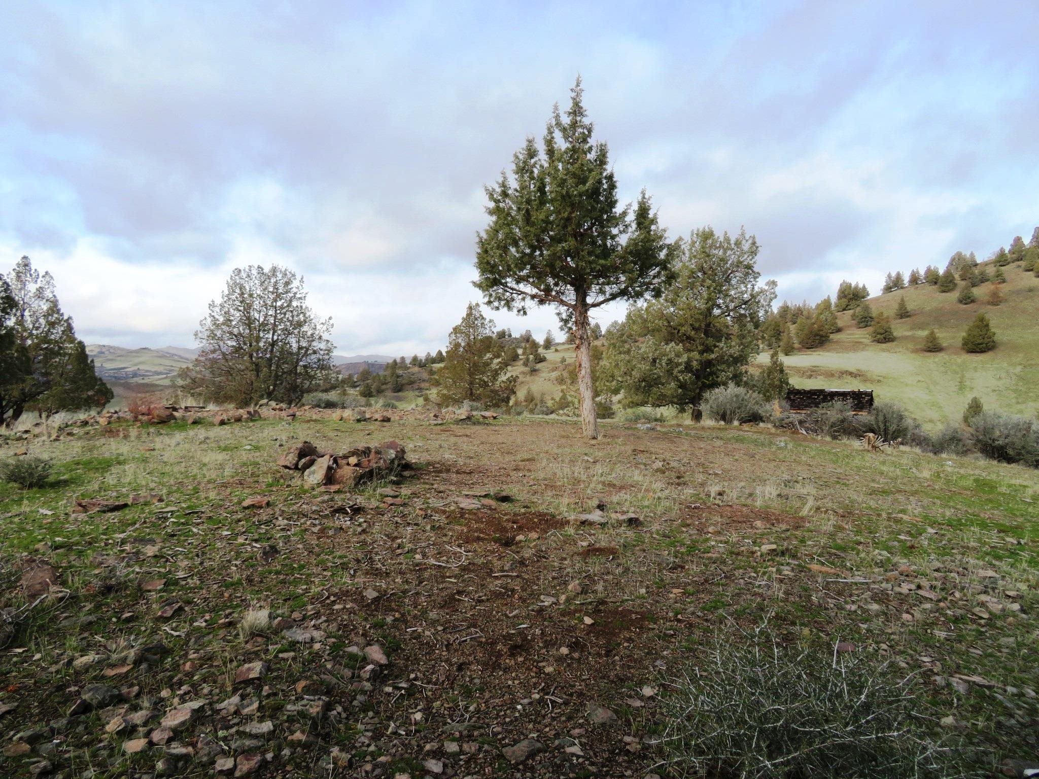 Lot 530 Blue Gill Dr