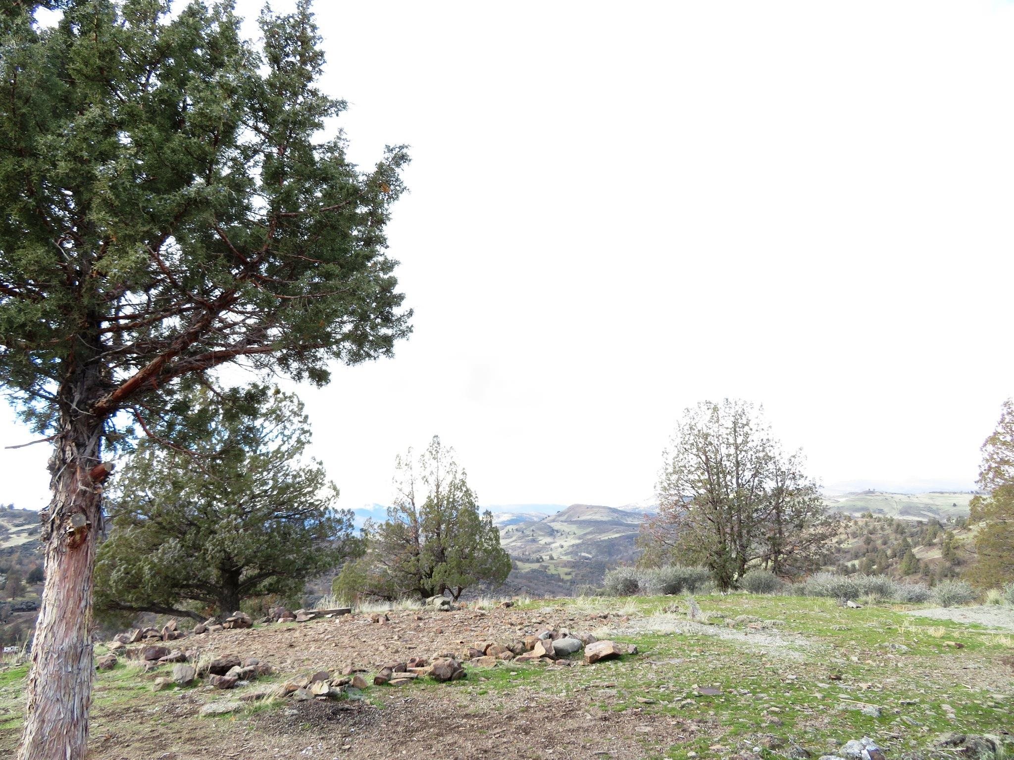 Lot 530 Blue Gill Dr