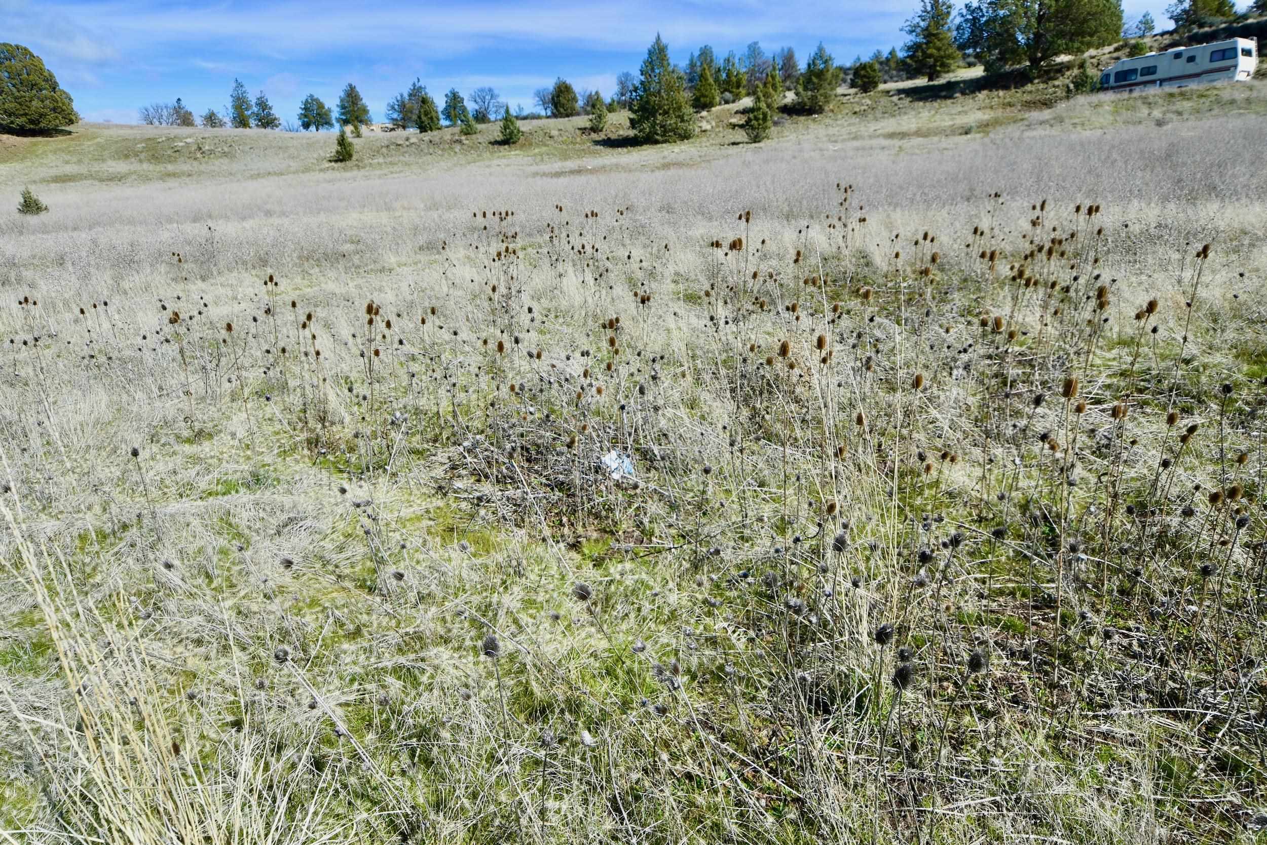 Lot 45 Desavado Rd