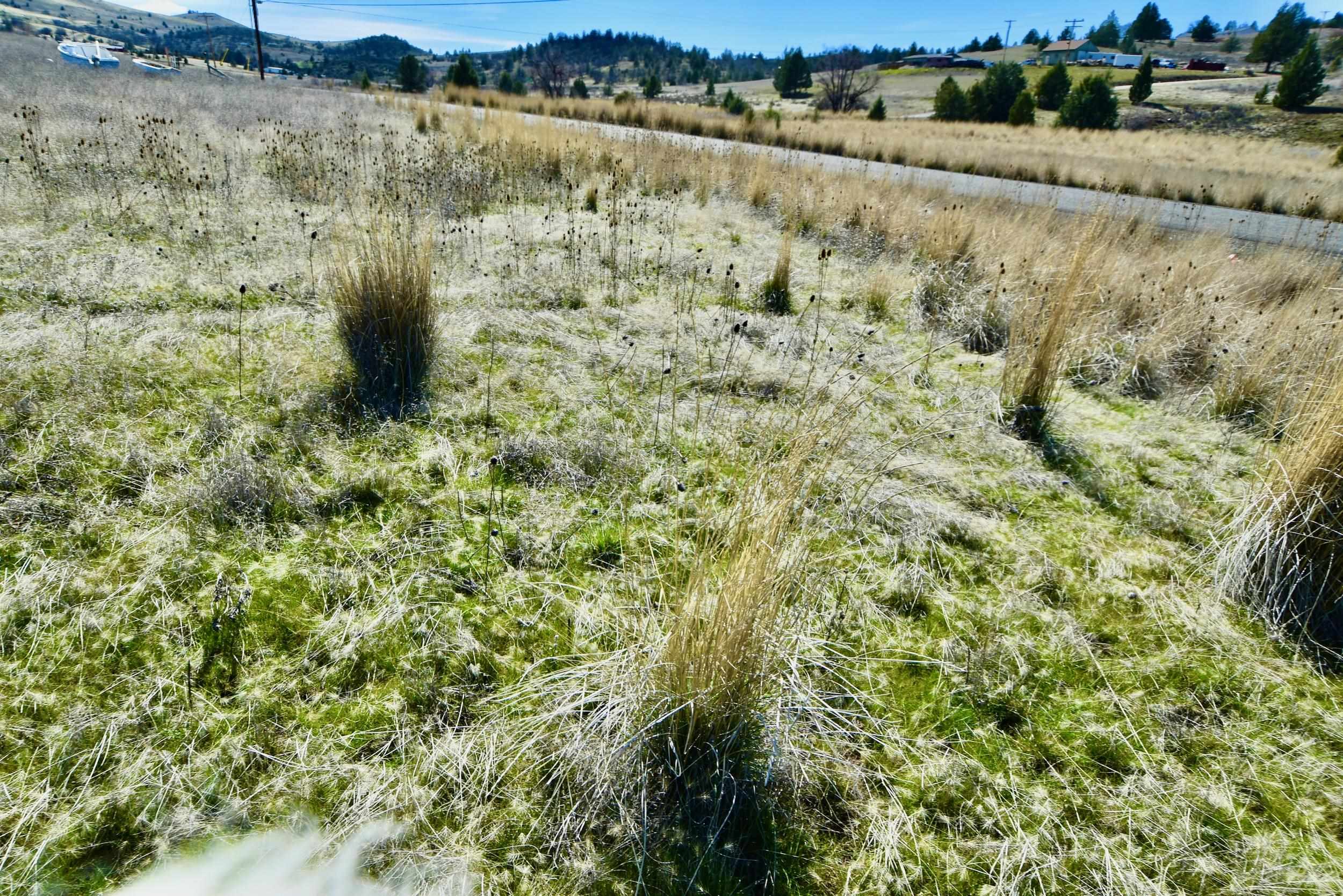 Lot 45 Desavado Rd