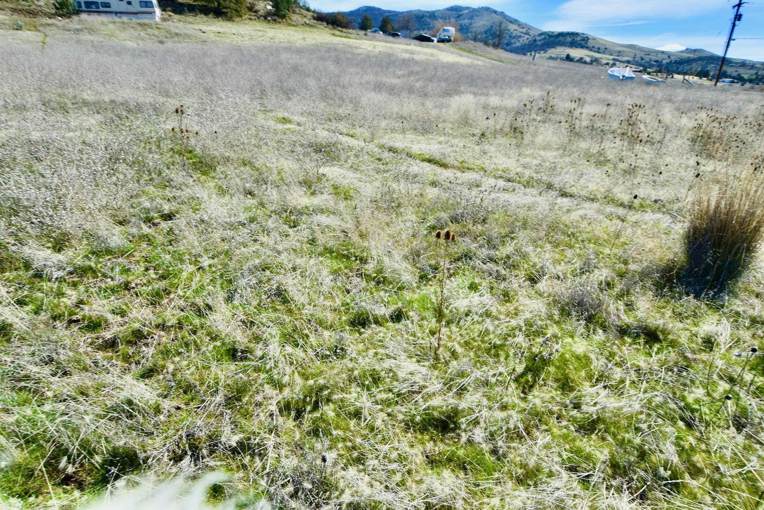 Lot 45 Desavado Rd