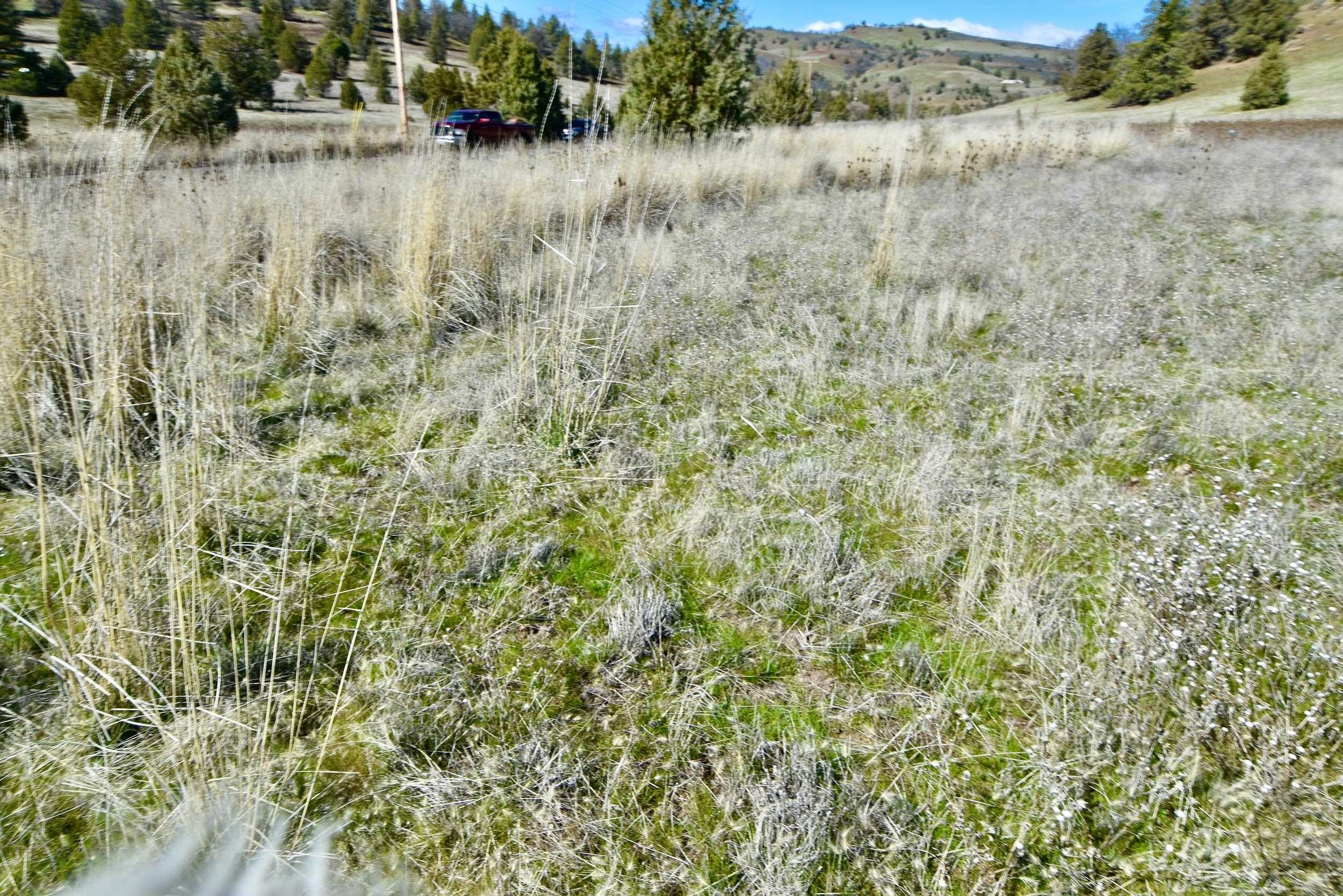 Lot 45 Desavado Rd