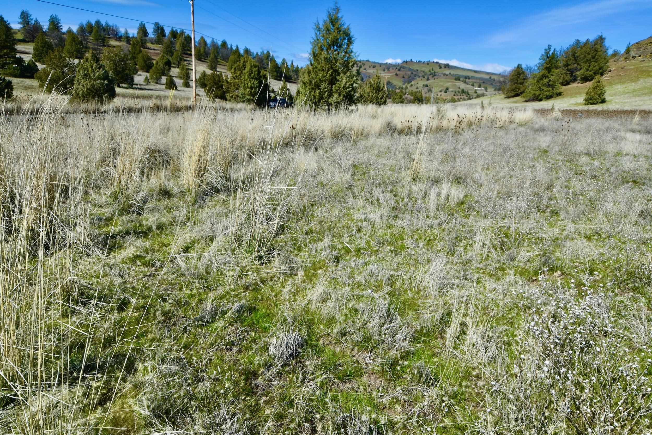 Lot 45 Desavado Rd