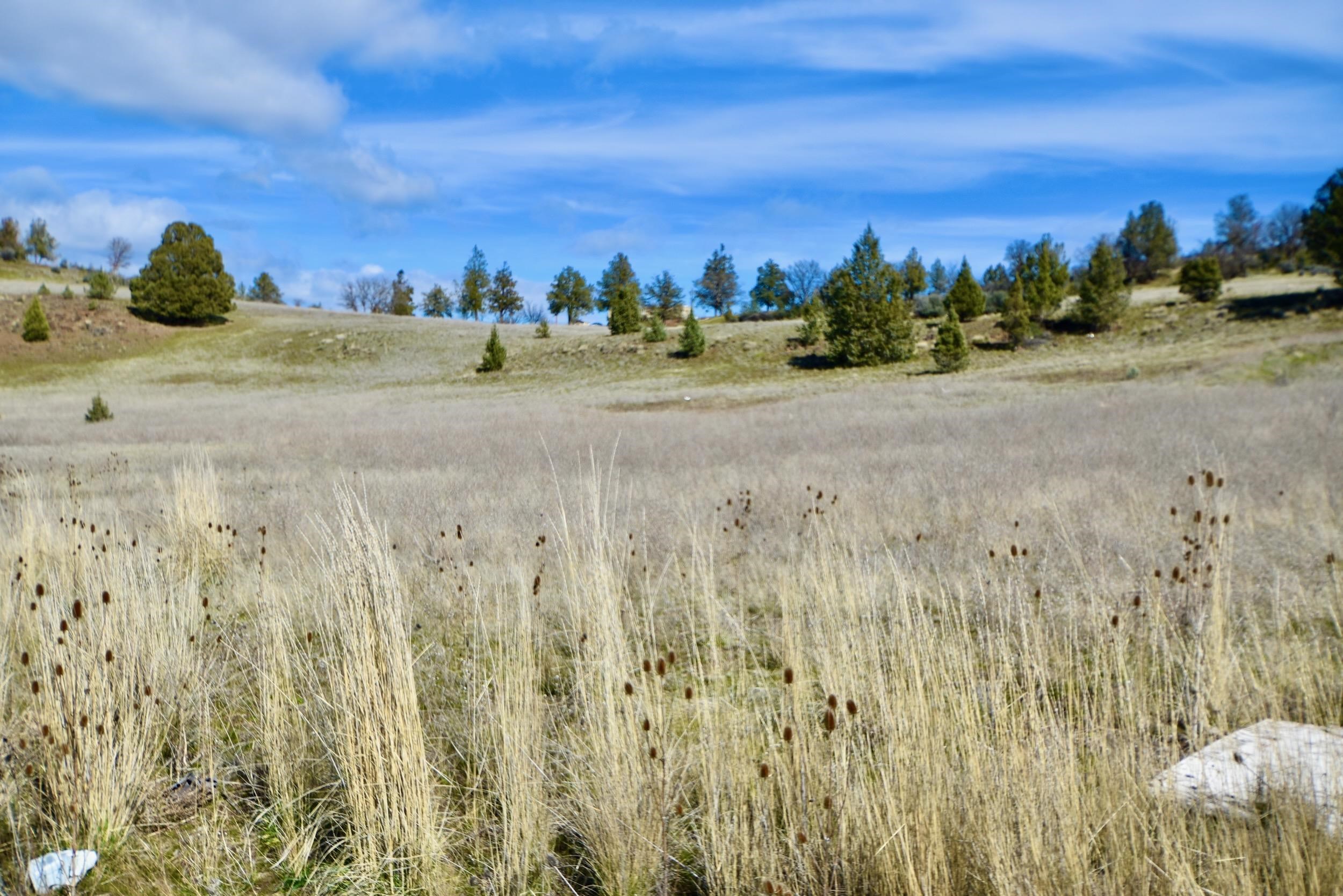 Lot 45 Desavado Rd