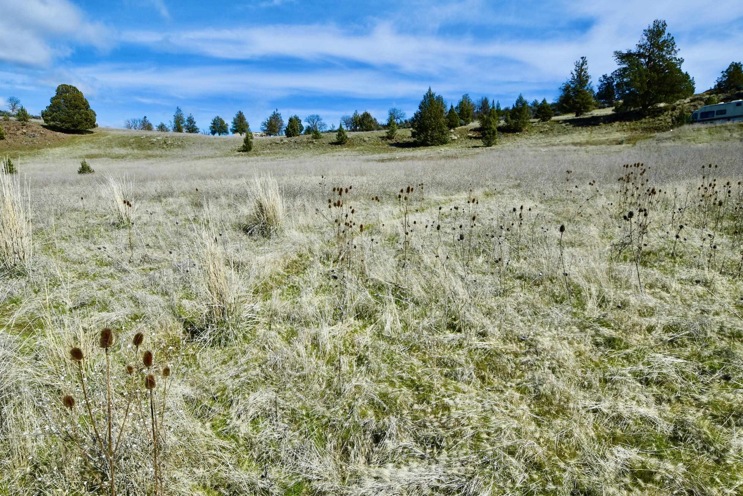 Lot 45 Desavado Rd