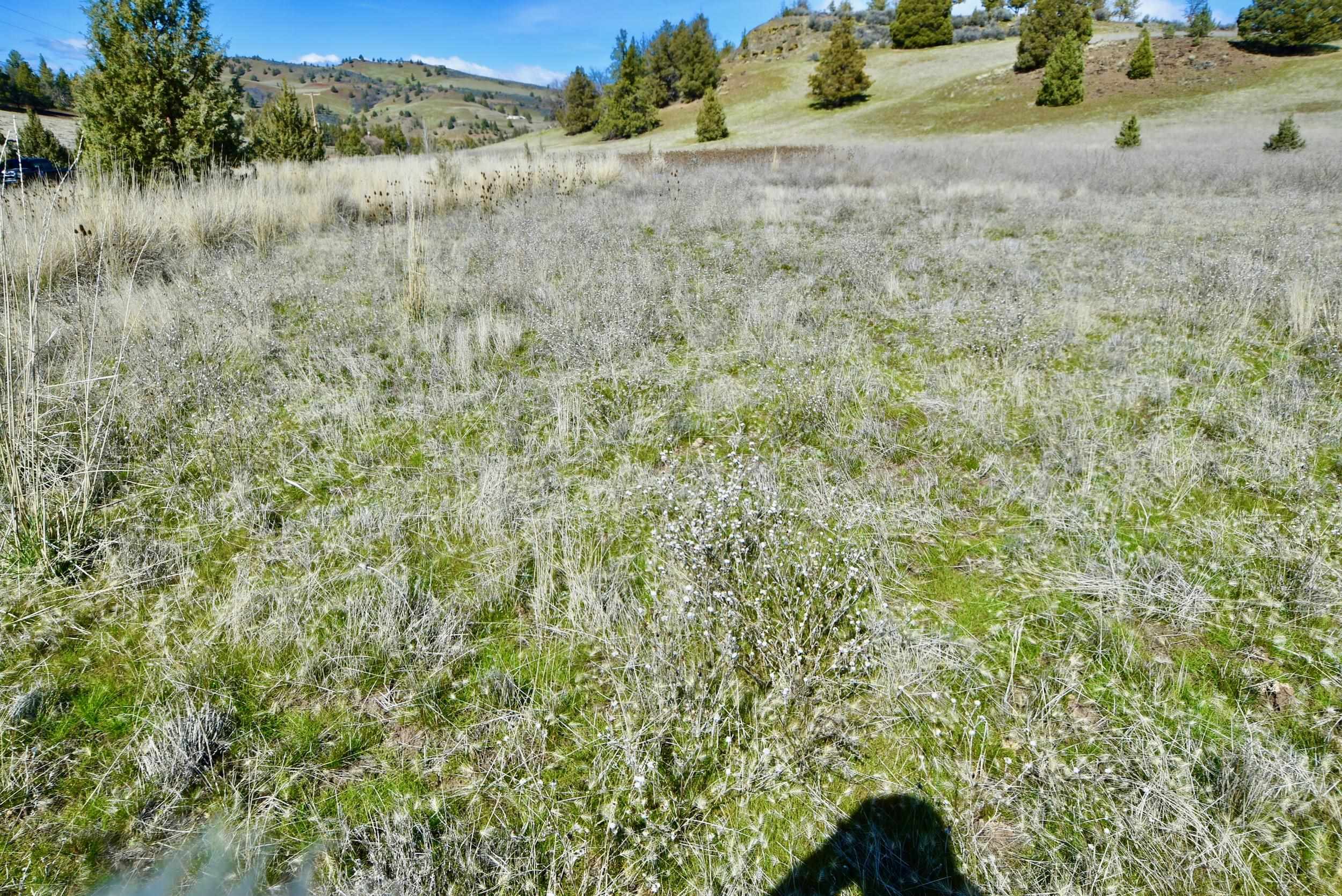 Lot 45 Desavado Rd