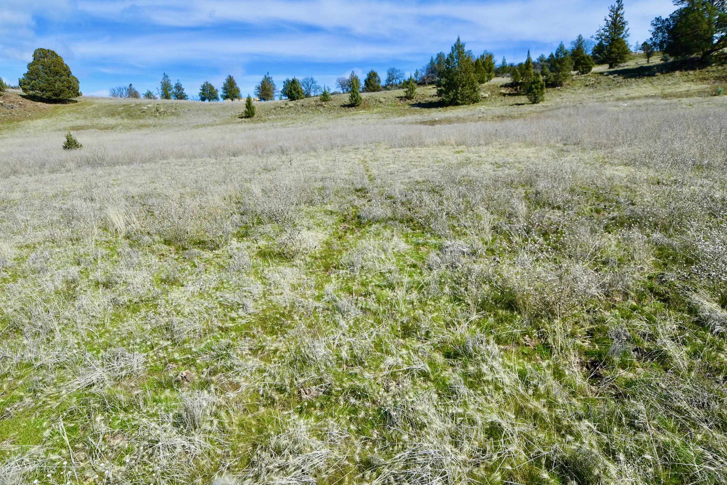 Lot 45 Desavado Rd