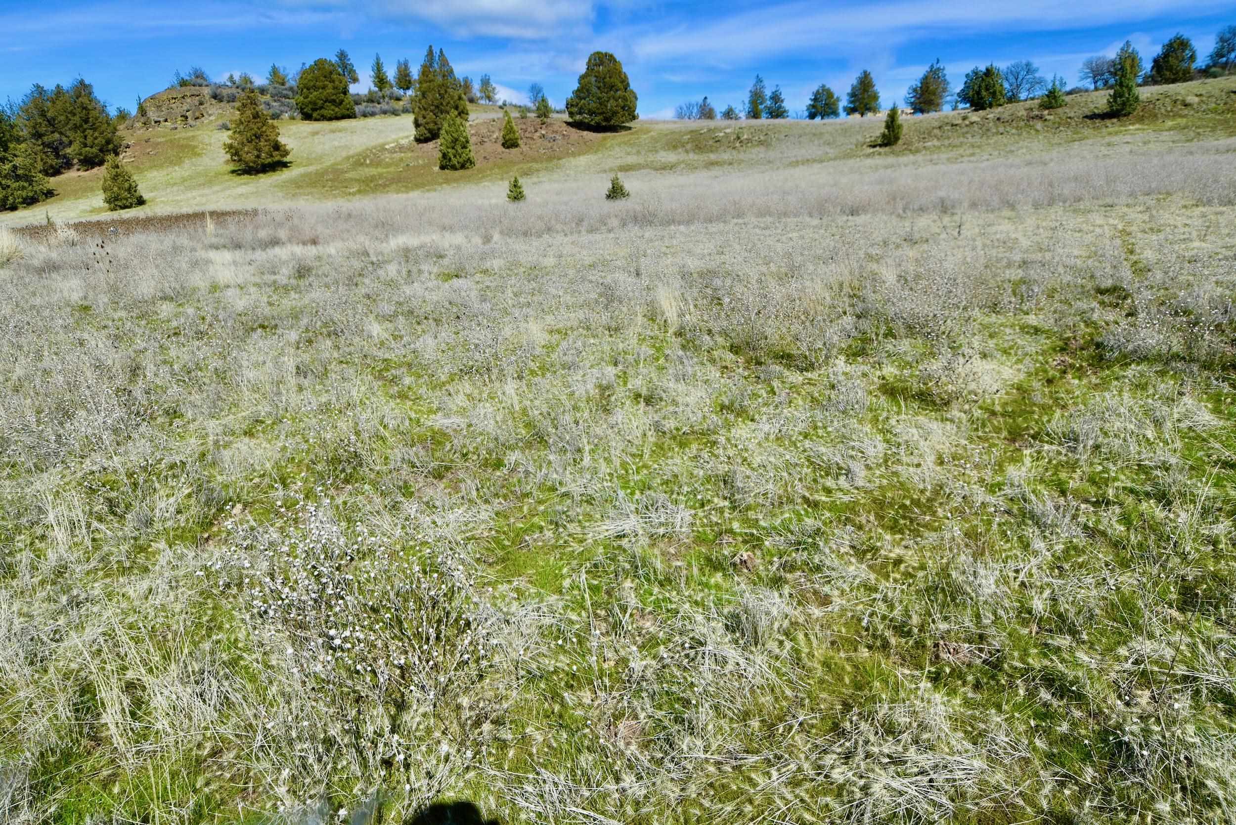 Lot 45 Desavado Rd