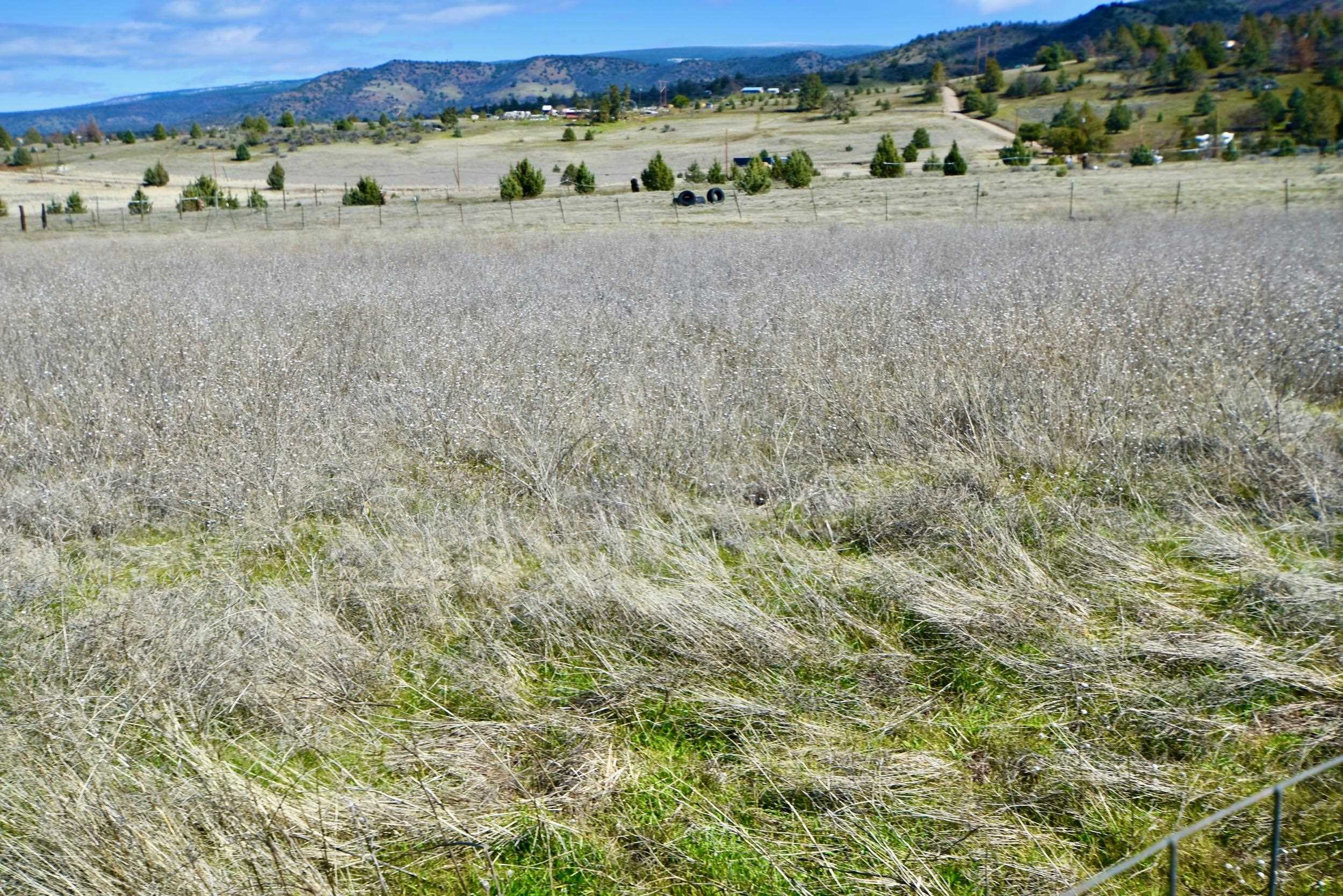 Lot 45 Desavado Rd